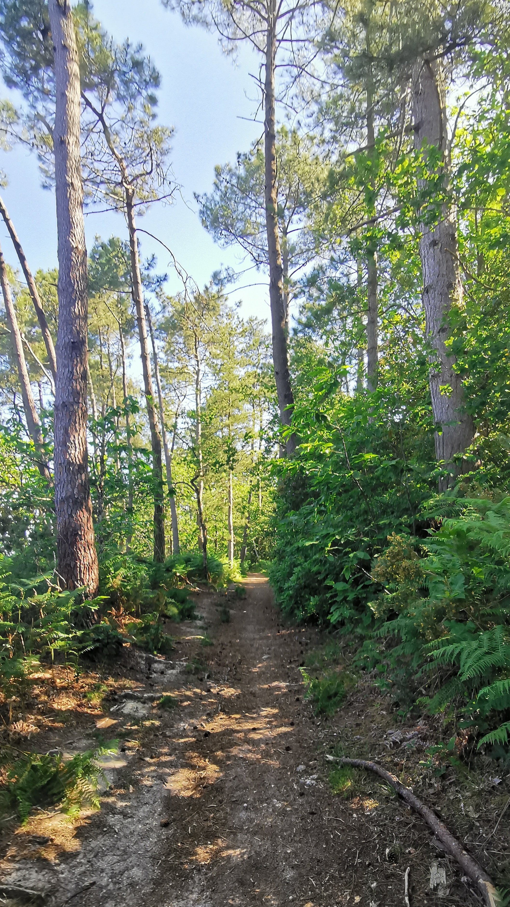 09-IMG_20210614_103518