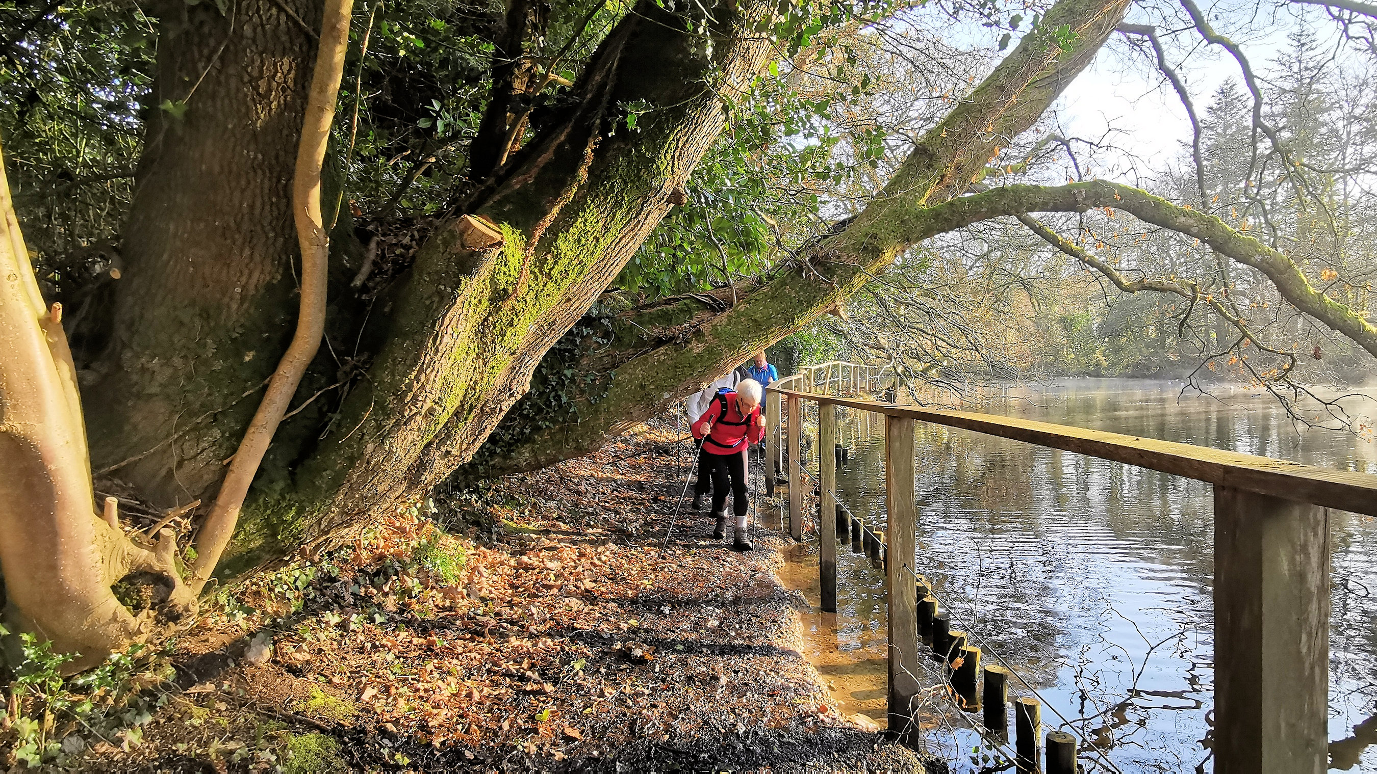 50-IMG_20210207_103720_1