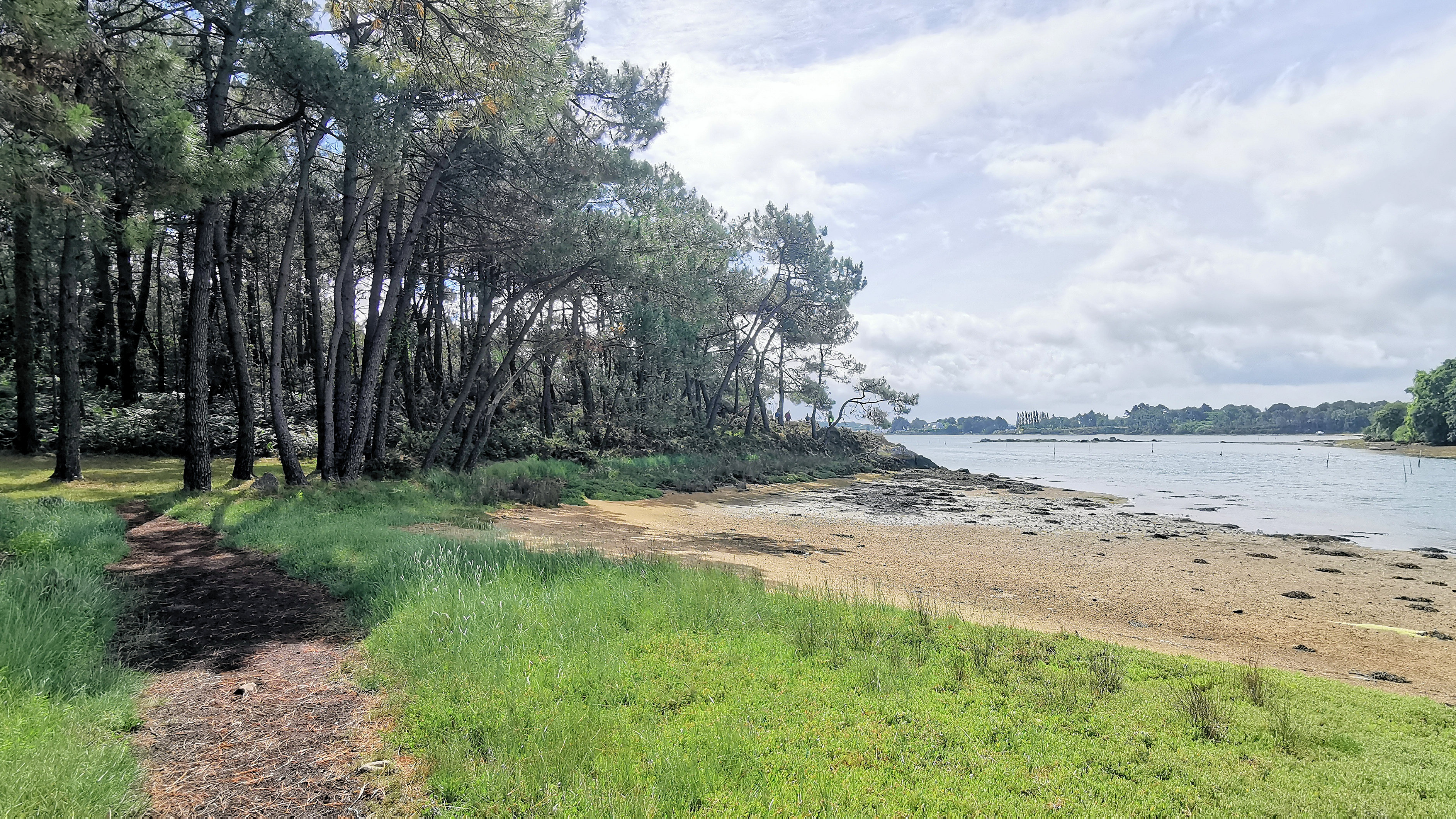 223-IMG_20210704_113815_1