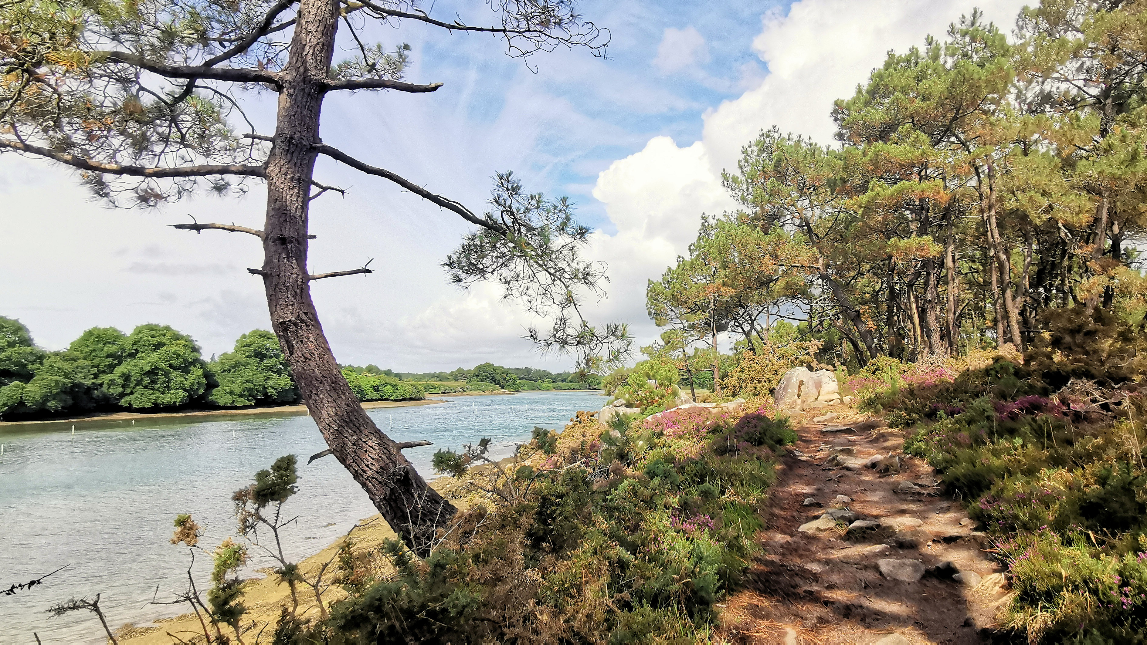 218-IMG_20210704_113712