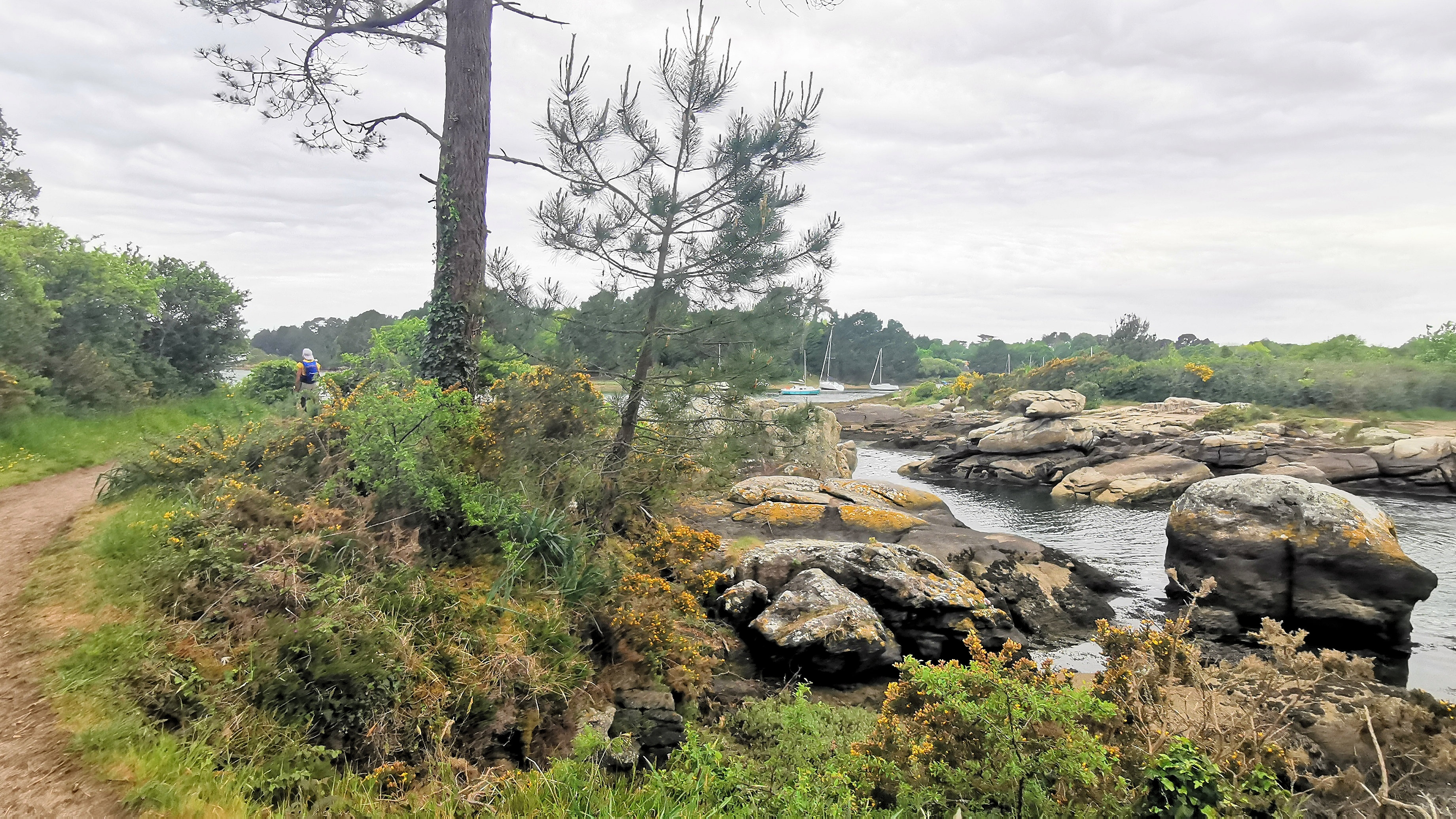 62-IMG_20210520_103800