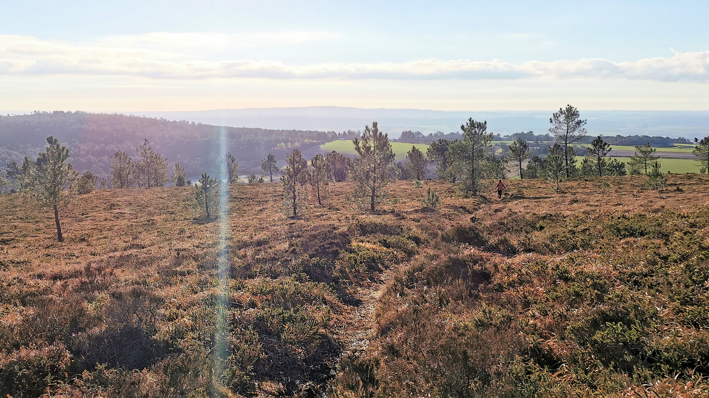 142-IMG_20210110_113452