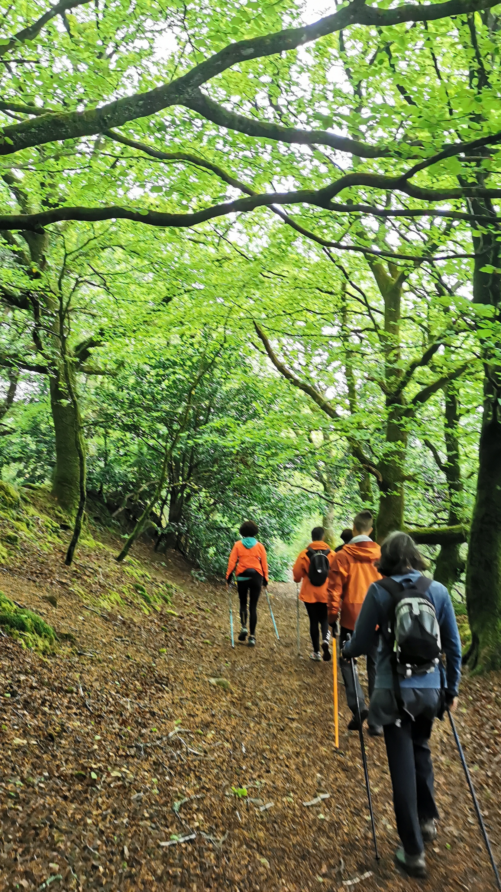 66-IMG_20210508_112723