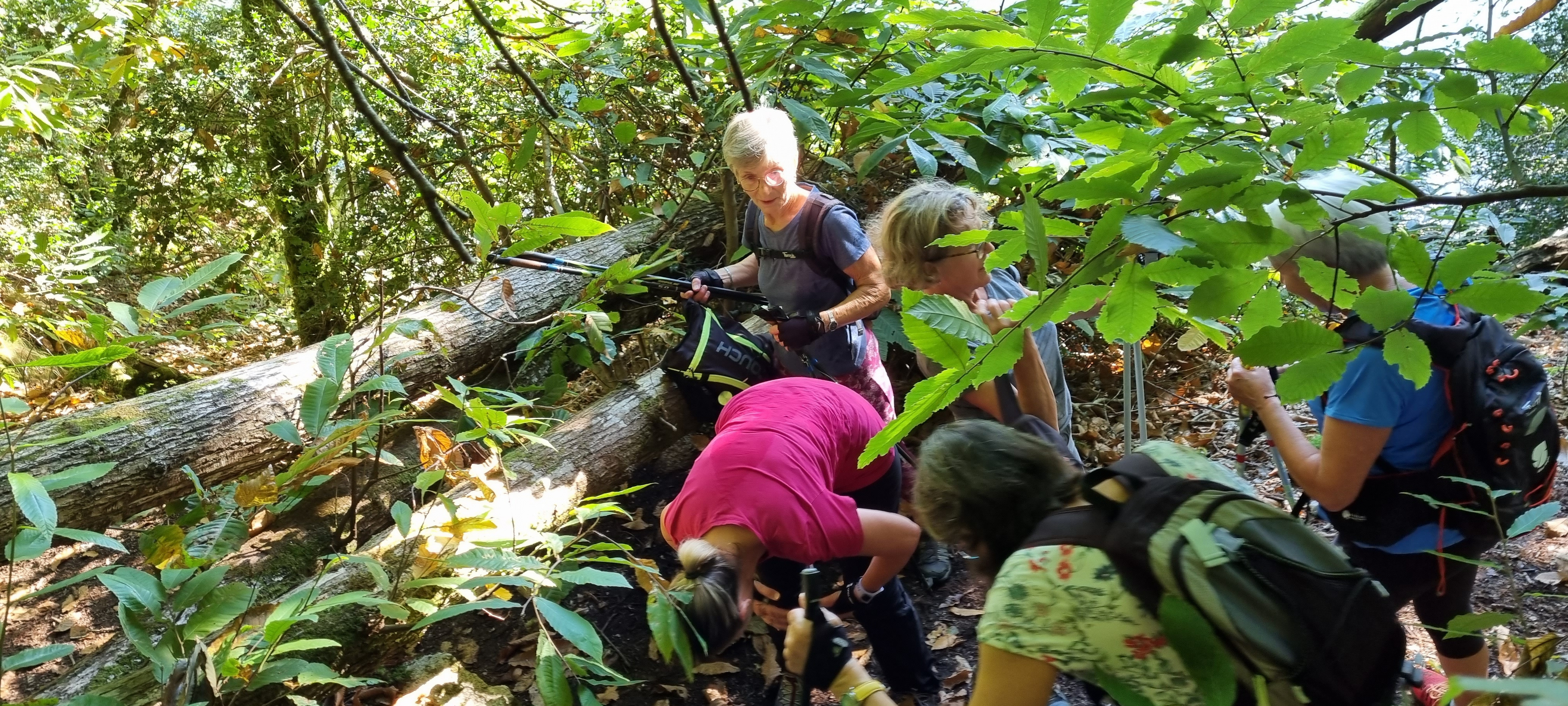 17-20210916_103612(0)