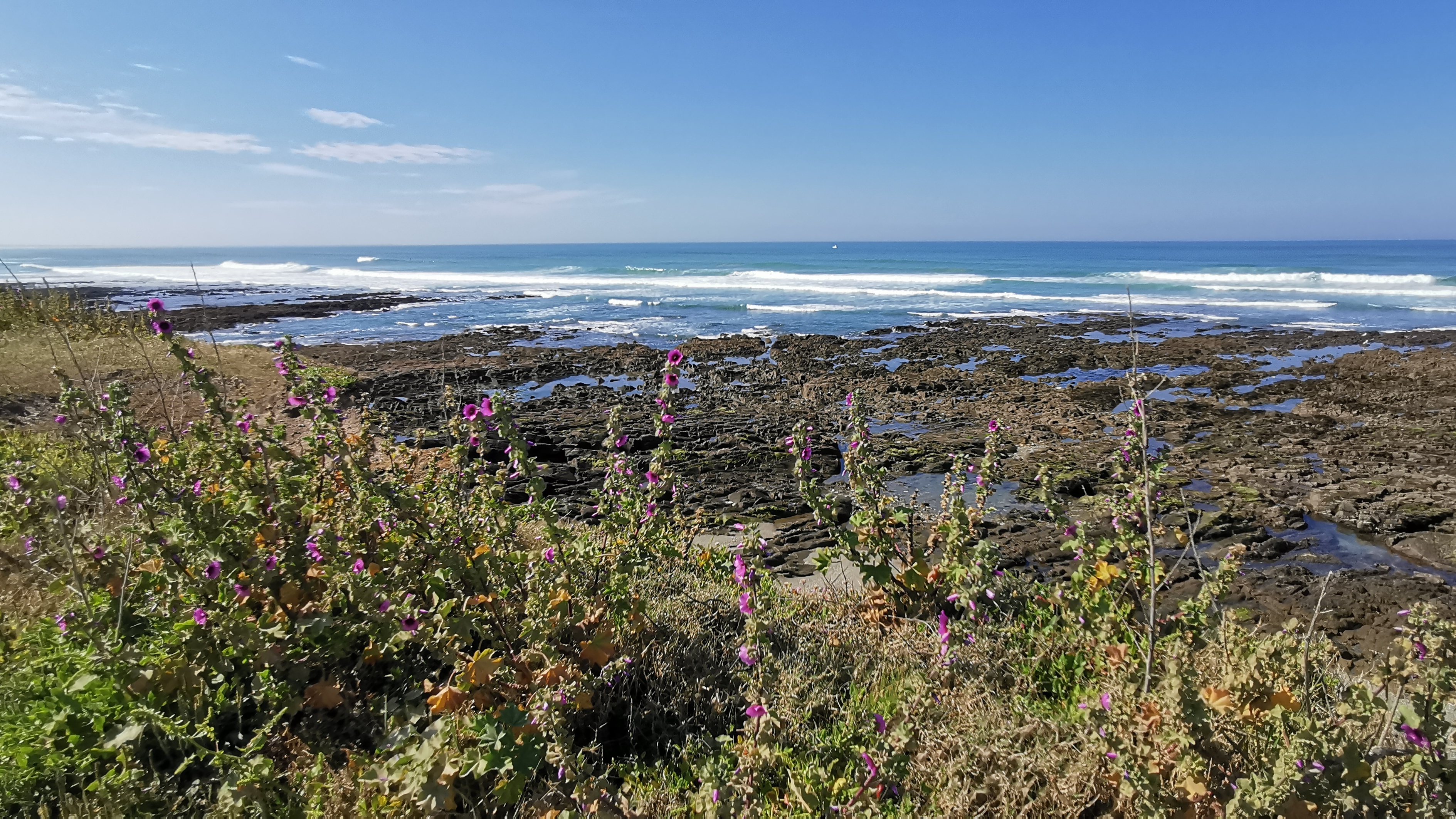 49-IMG_20210530_110953