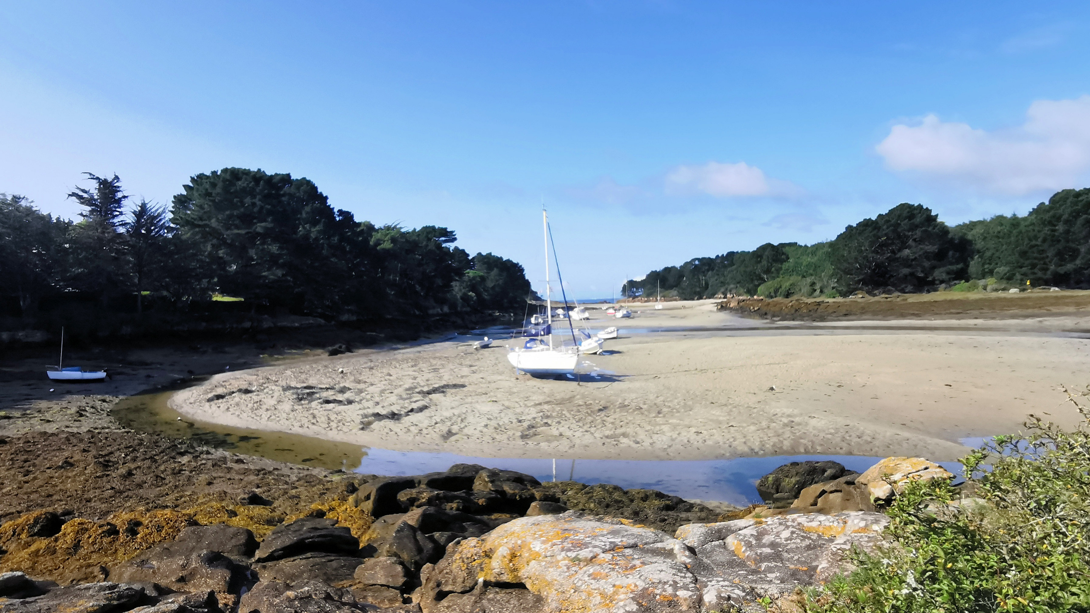 102-IMG_20210822_104100