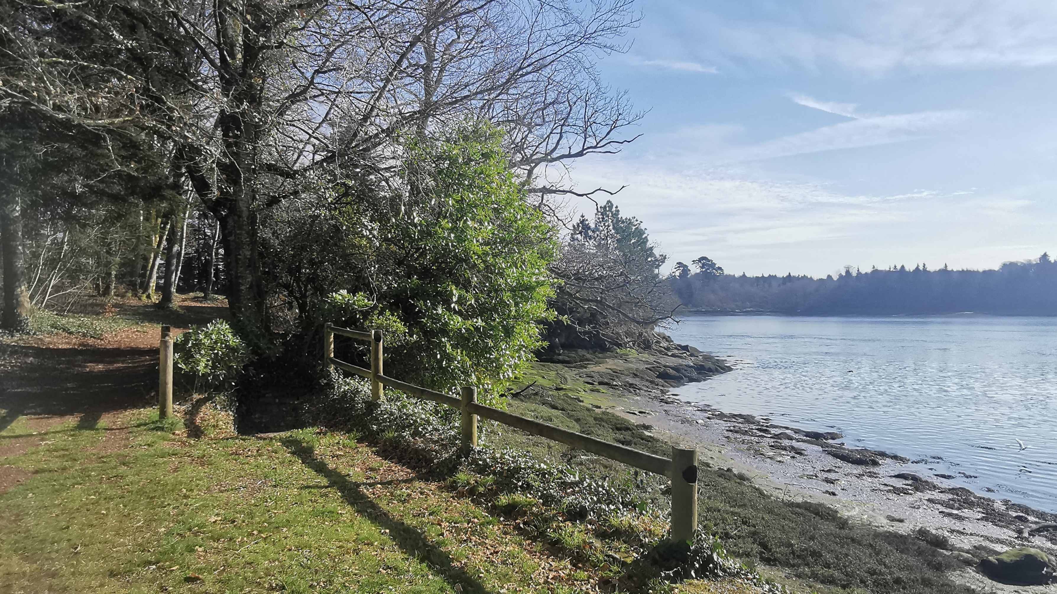 31-IMG_20210318_102716_1