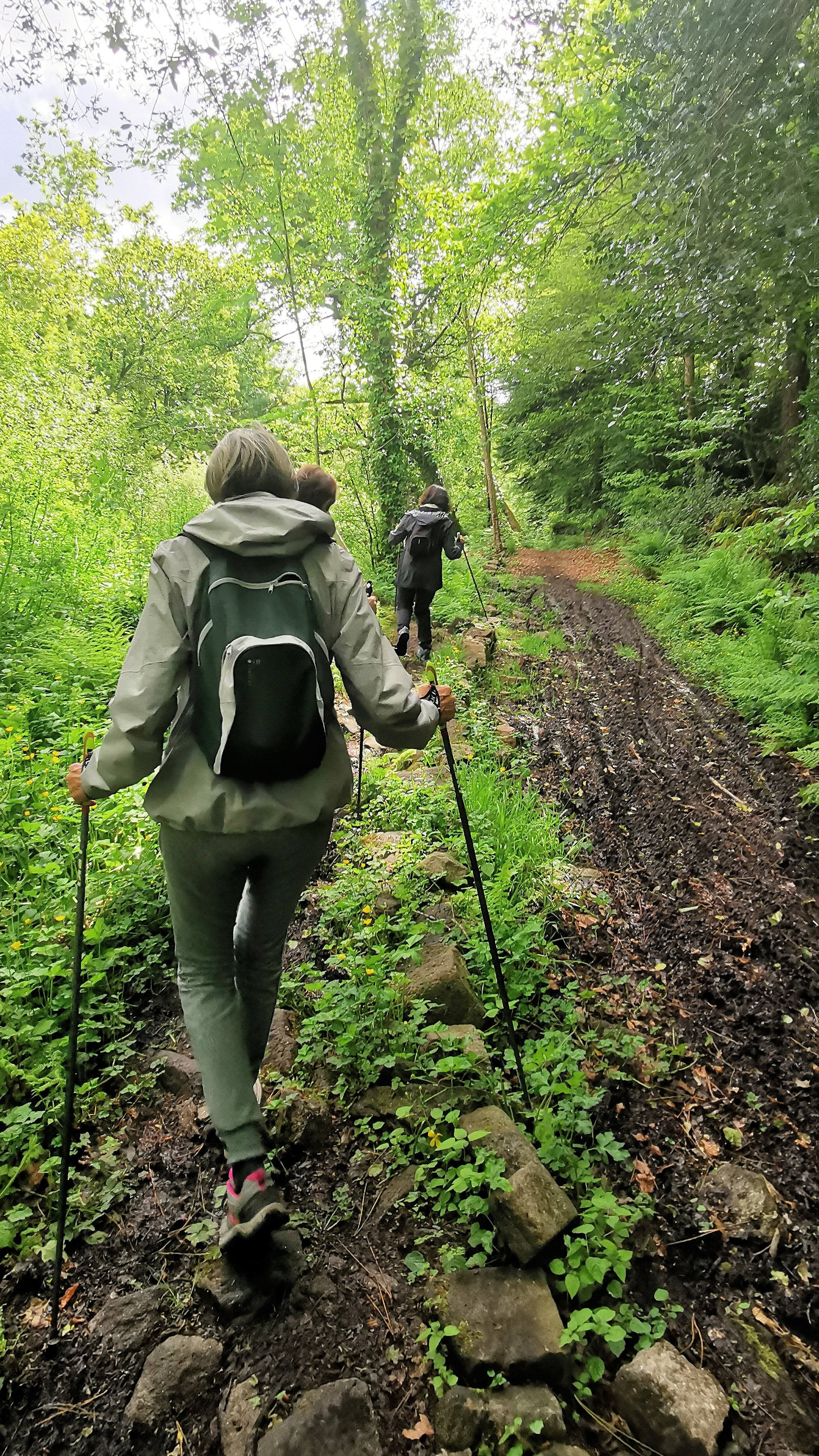 37-IMG_20210522_111753