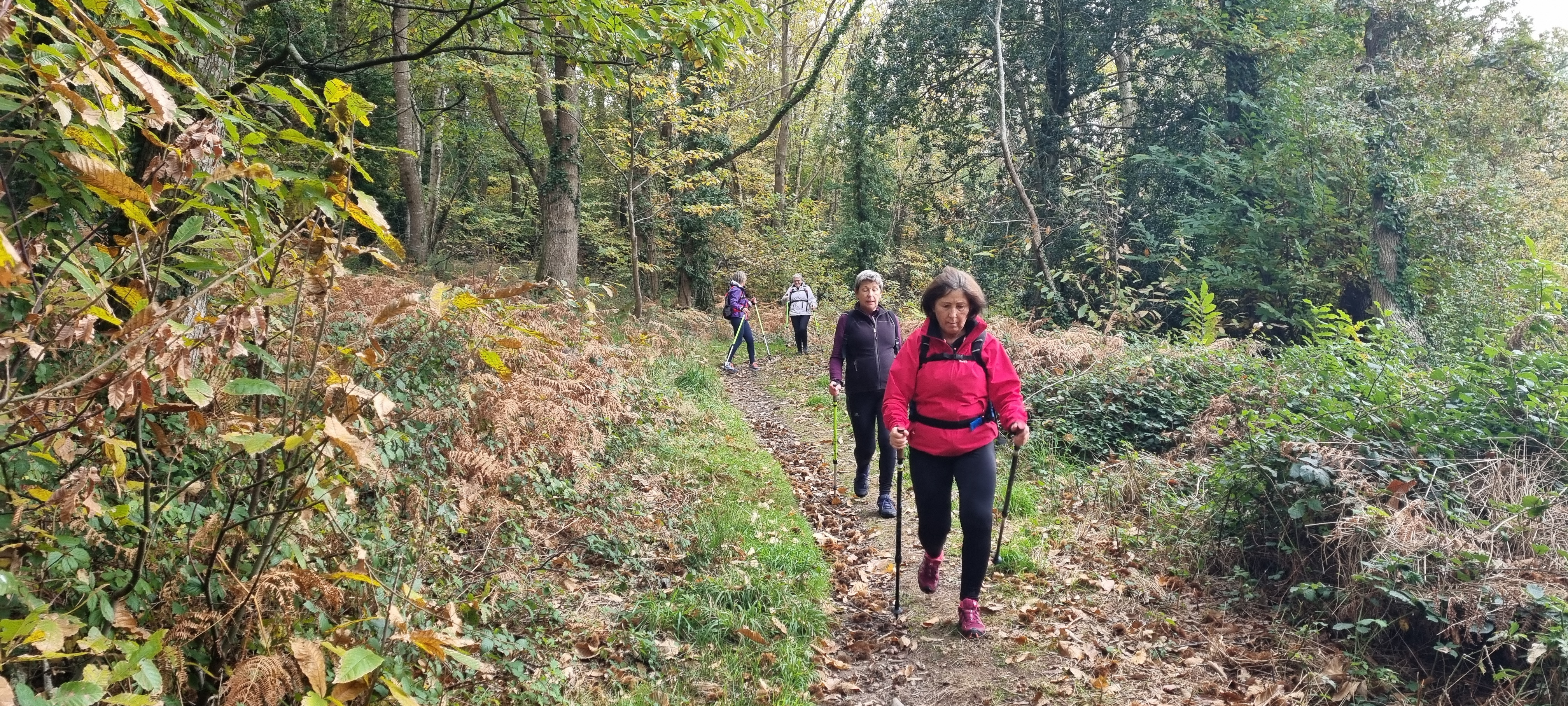 08-20211108_095544(0)