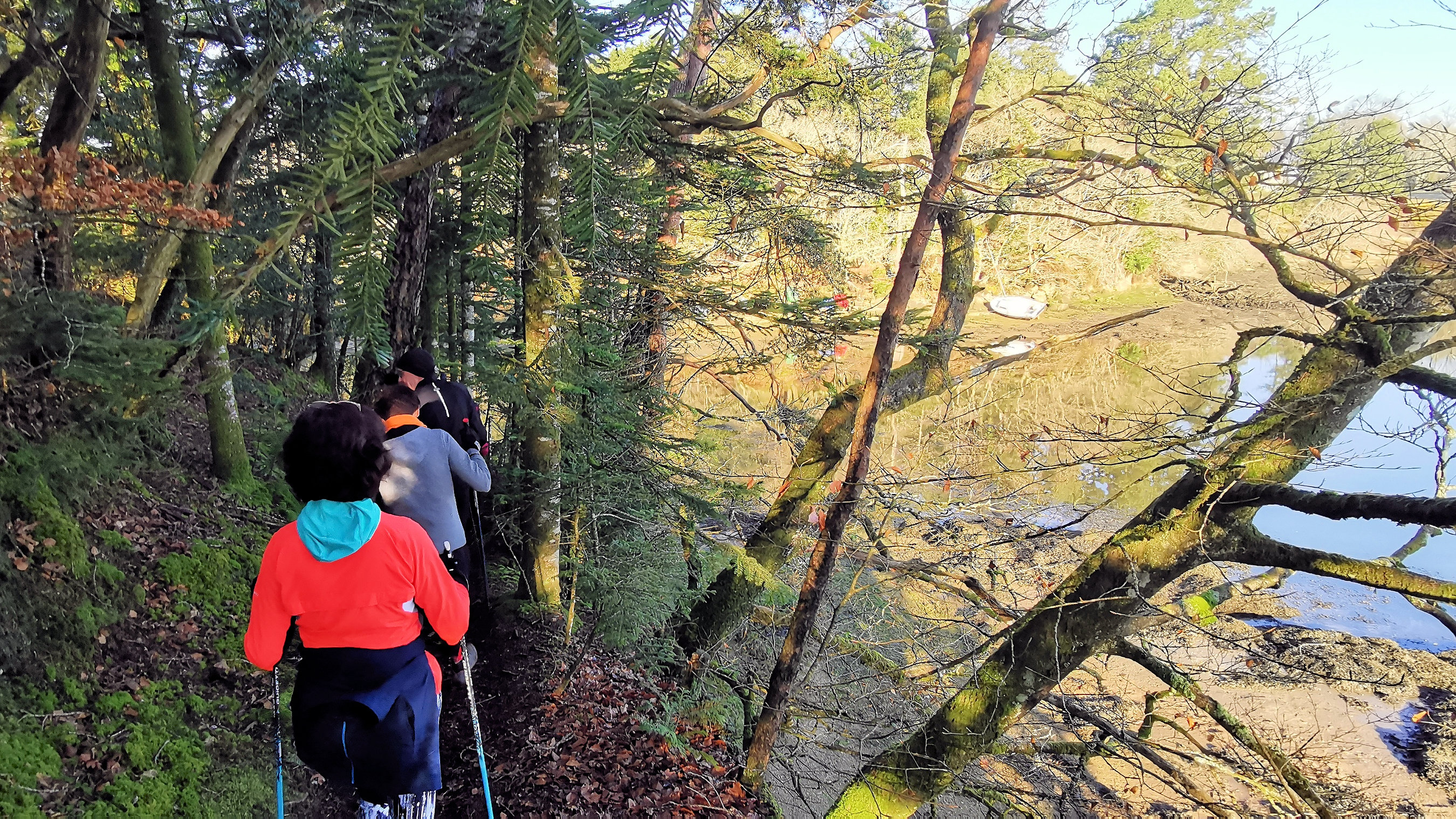 38-IMG_20210207_103100