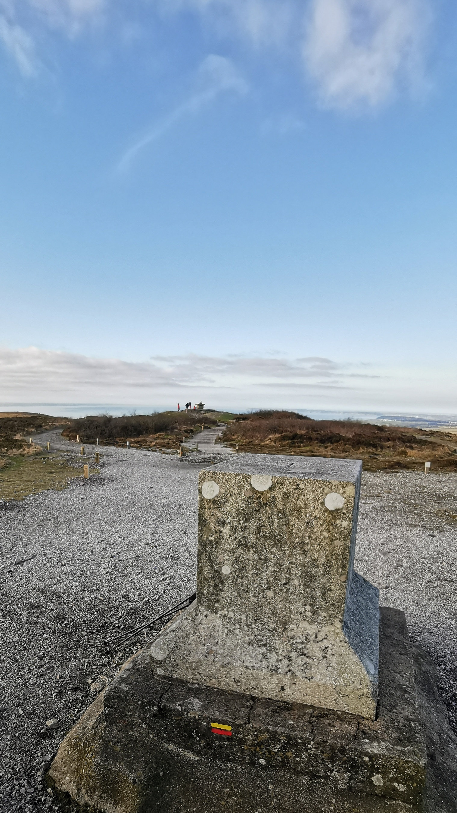 119-IMG_20210110_111638