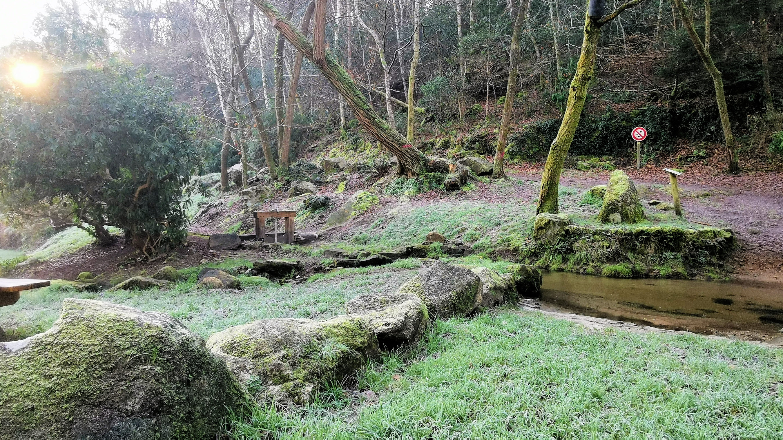 11-IMG_20210109_103251