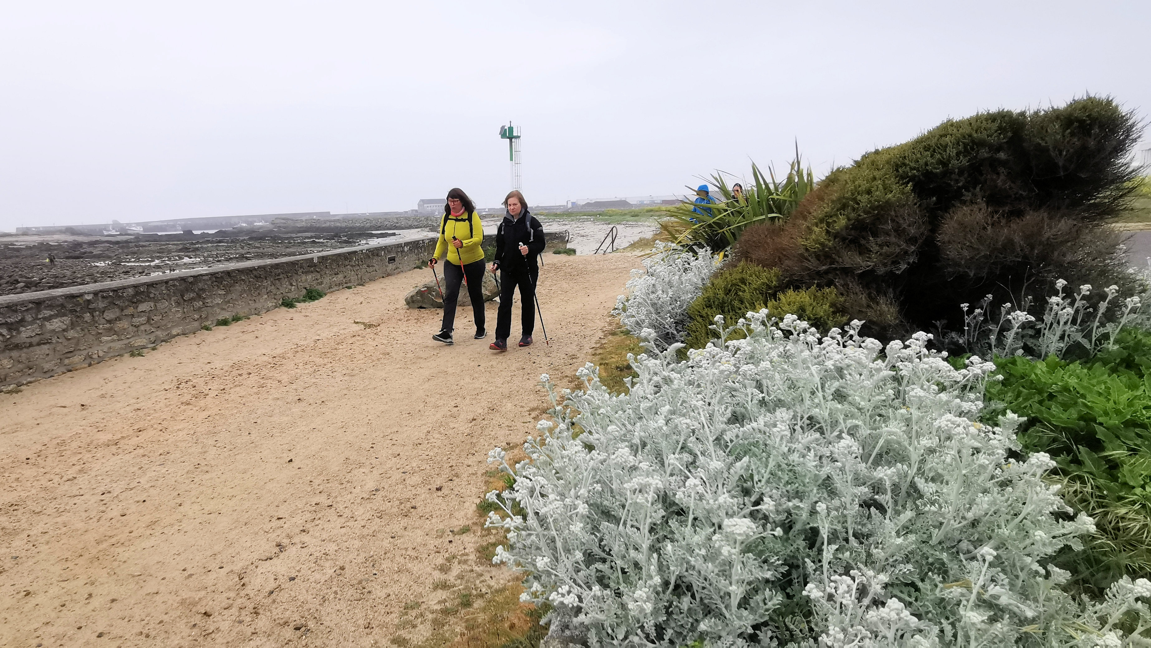 044-IMG_20210509_100716_1