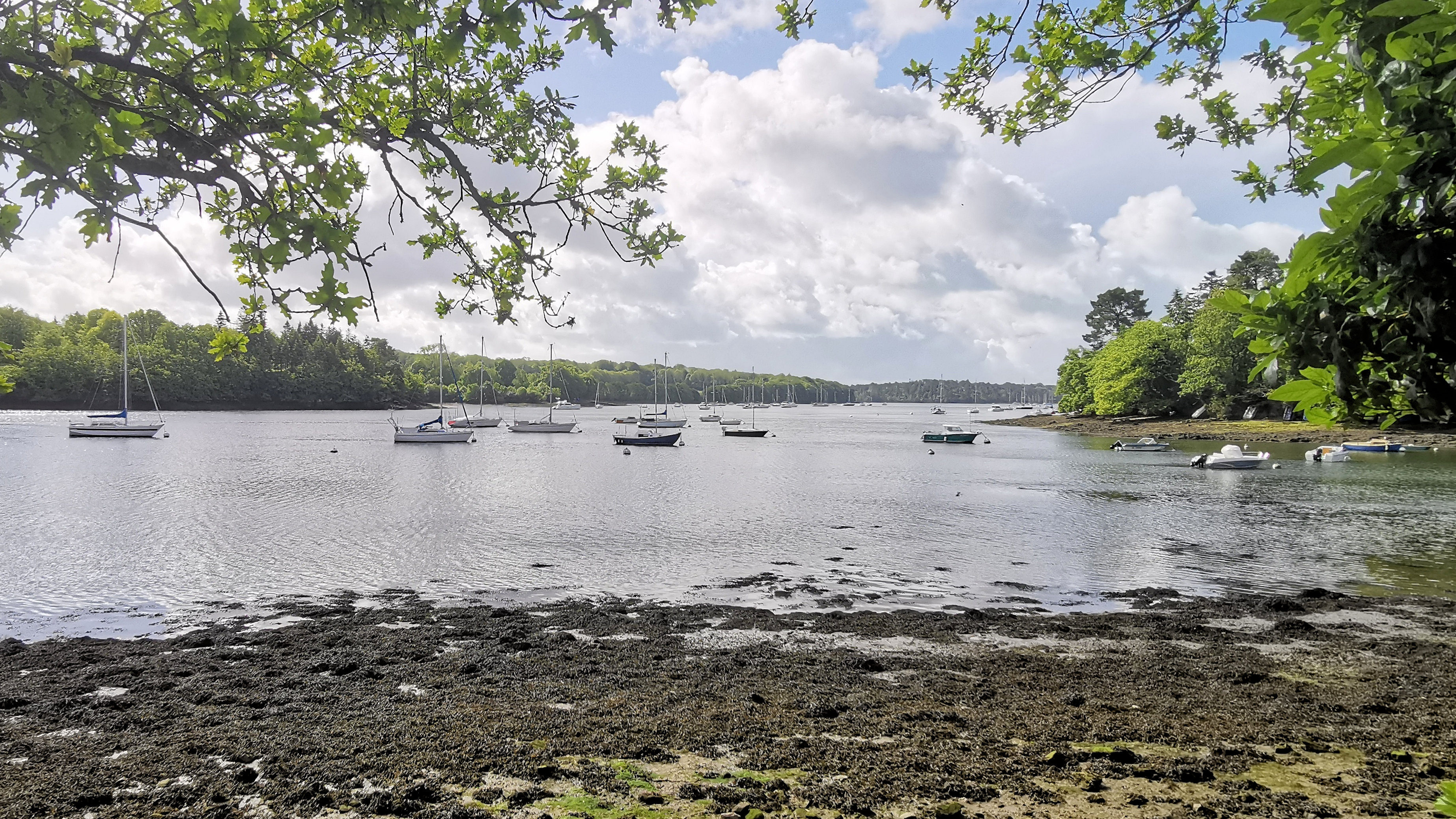 12-IMG_20210522_104730_1