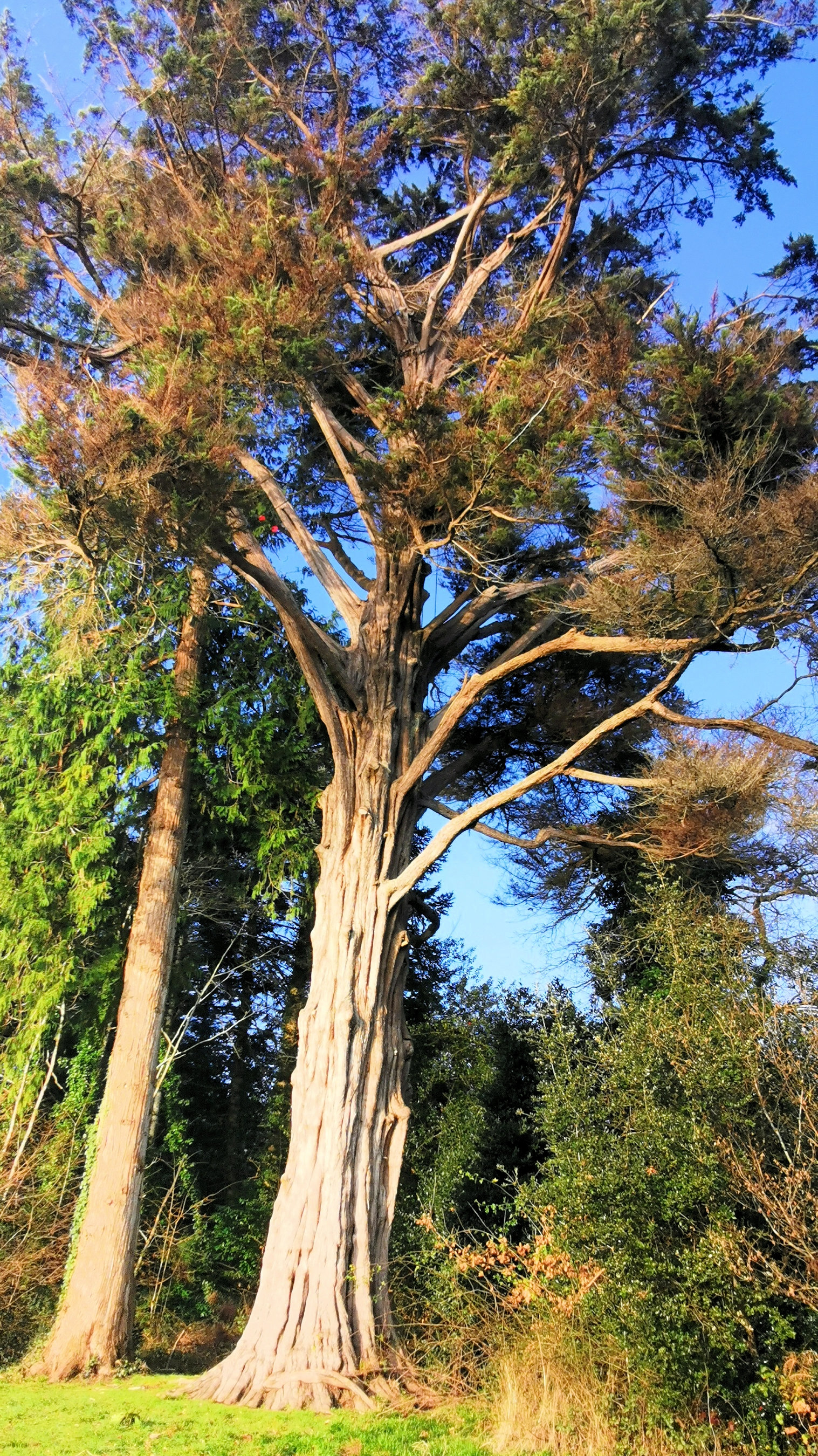 27-IMG_20210107_103320