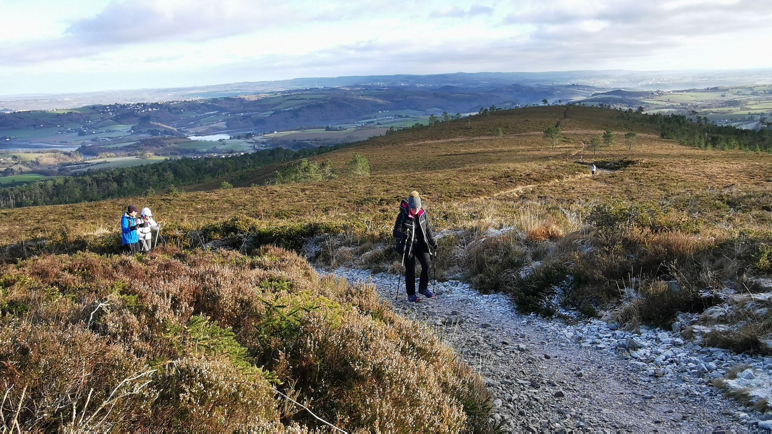 115-IMG_20210110_111035_1