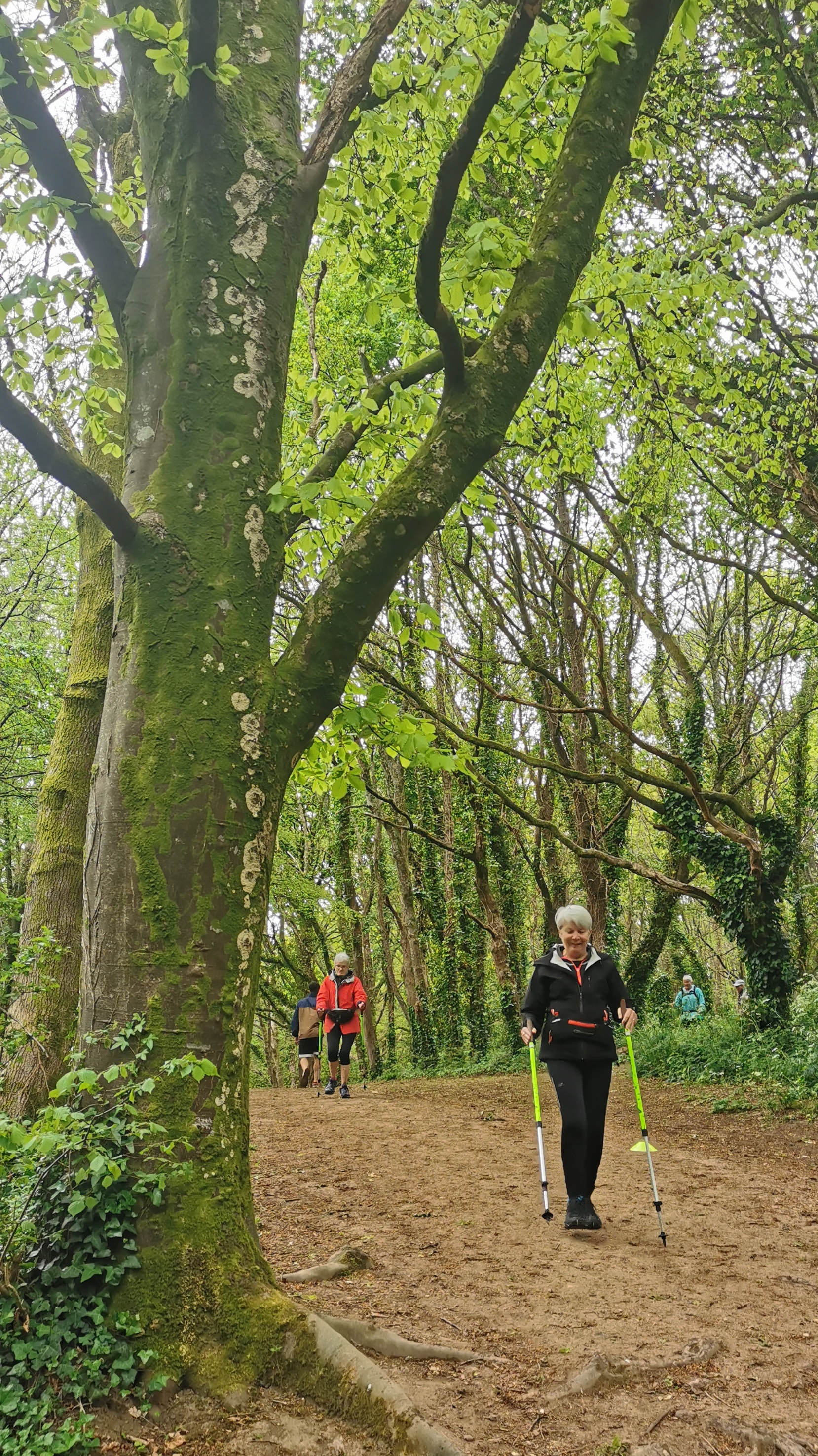 41-IMG_20210504_105927_1