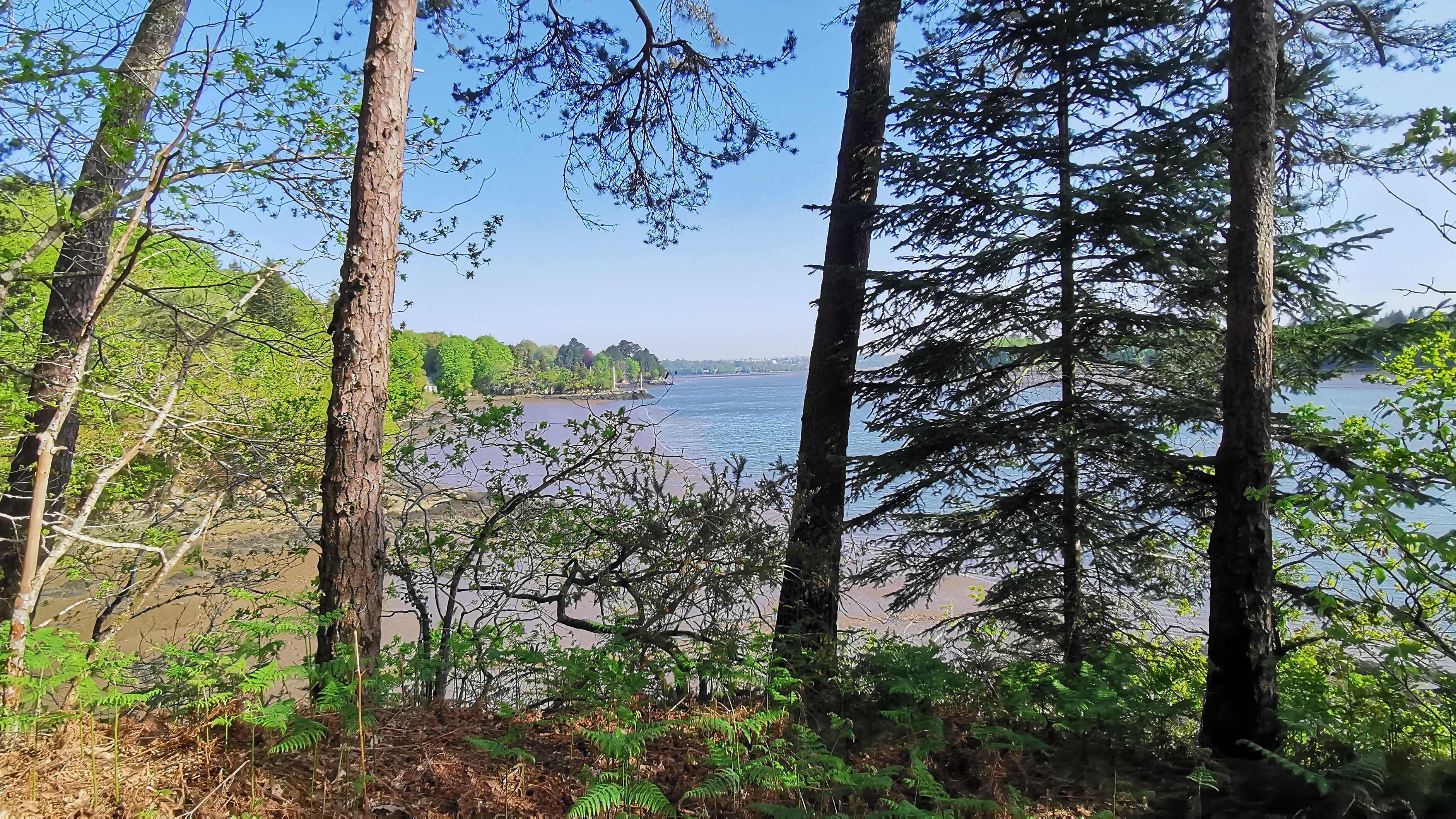 33-IMG_20210425_104146