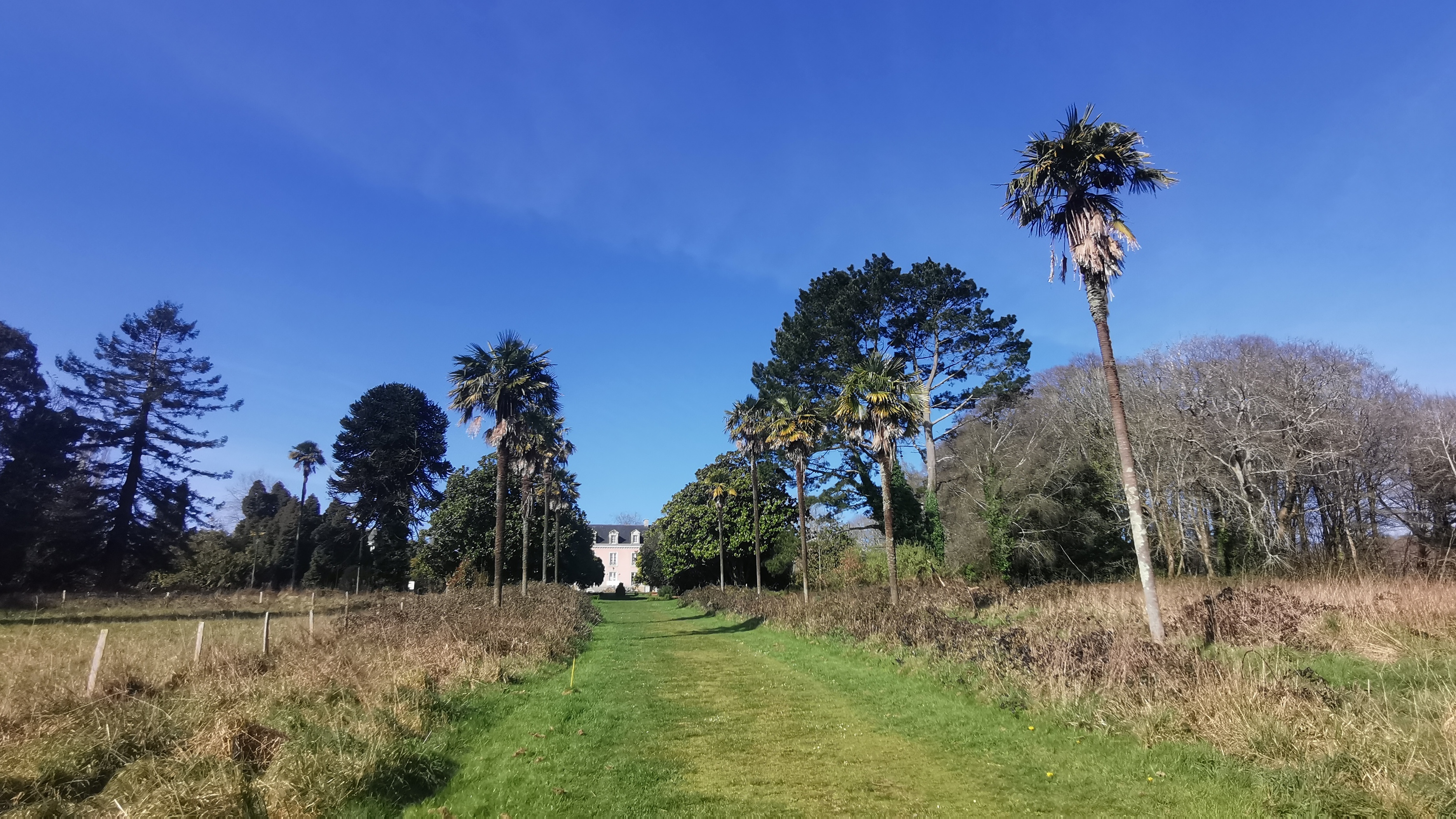 53-IMG_20210318_104008_1