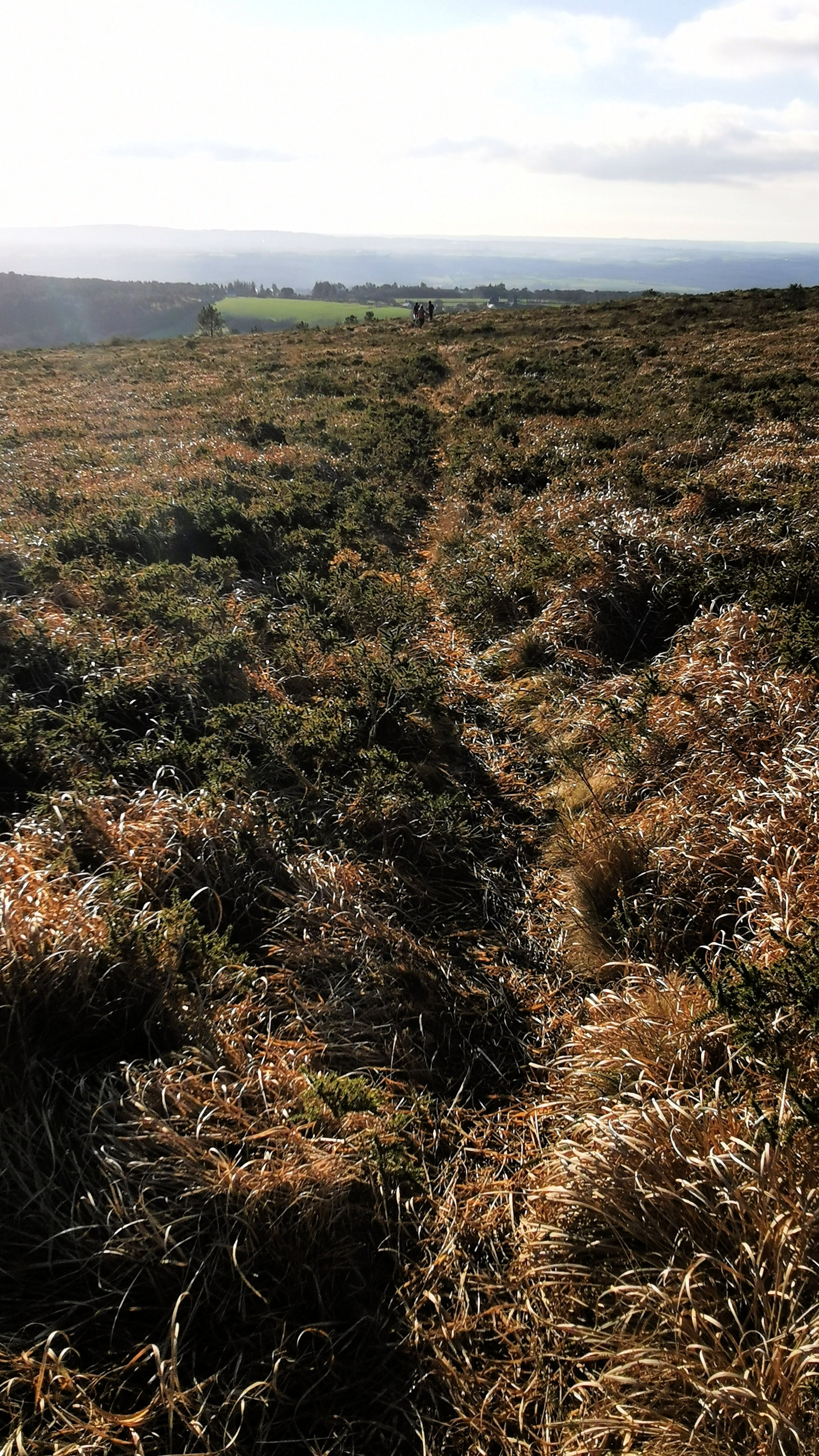 138-IMG_20210110_112959_1