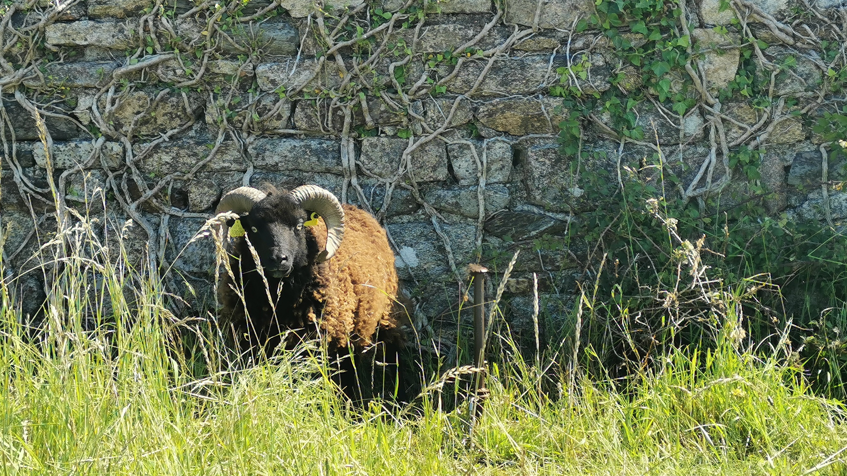 65-IMG_20210530_114245