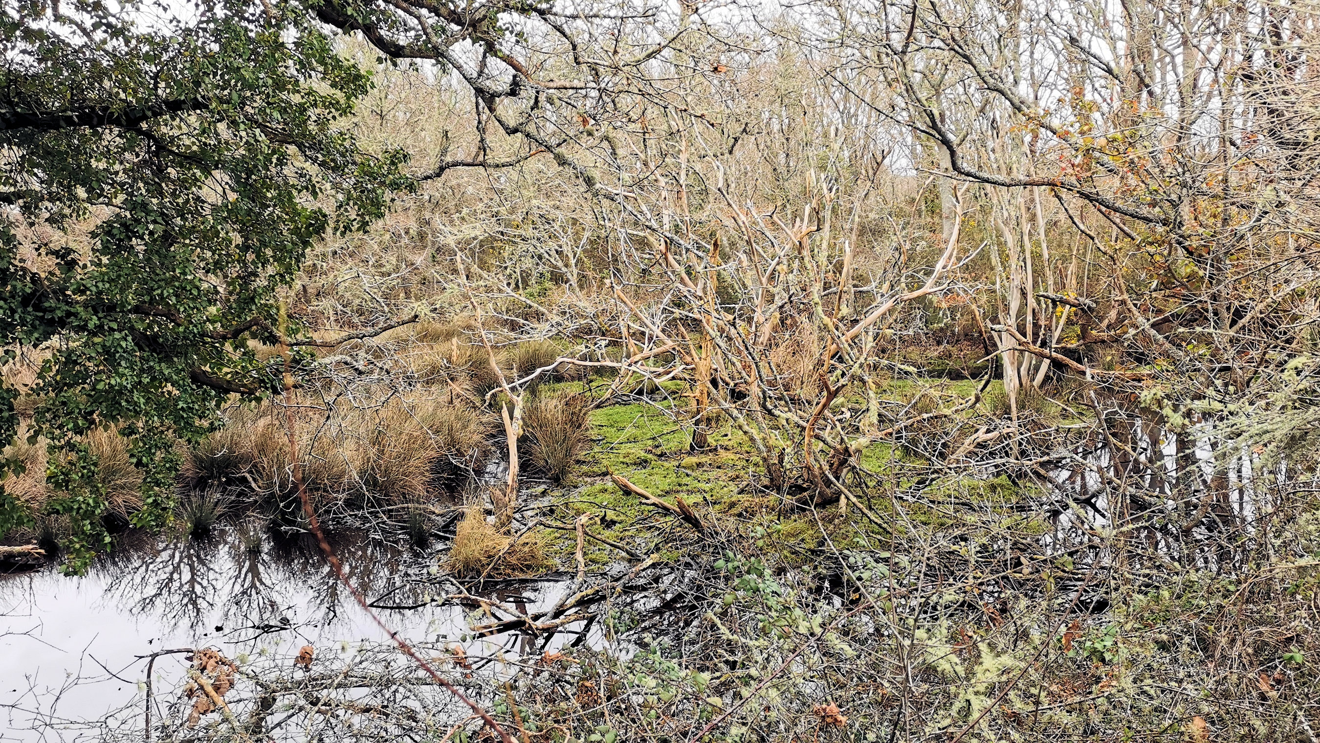 04-IMG_20210208_095001