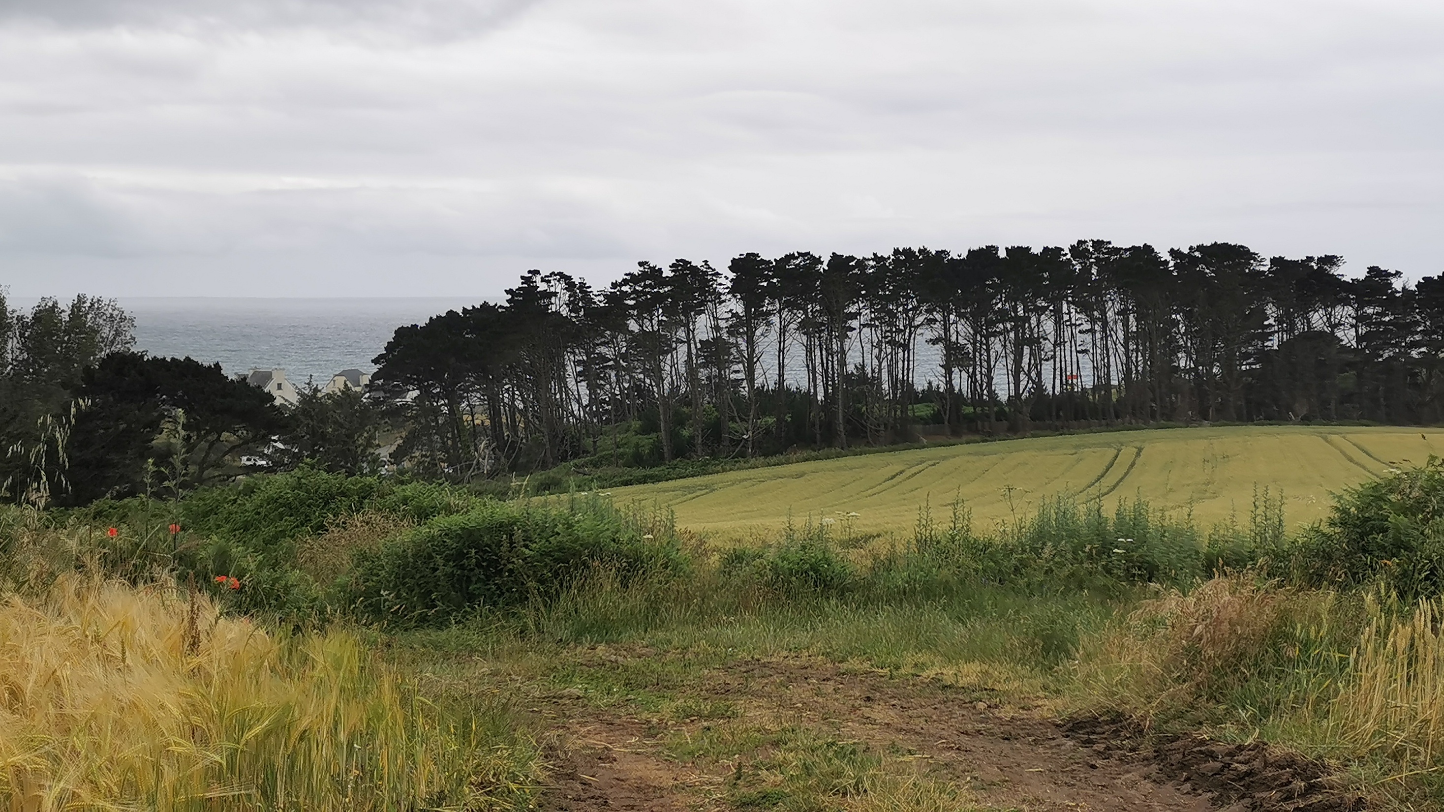 094-IMG_20210620_105034