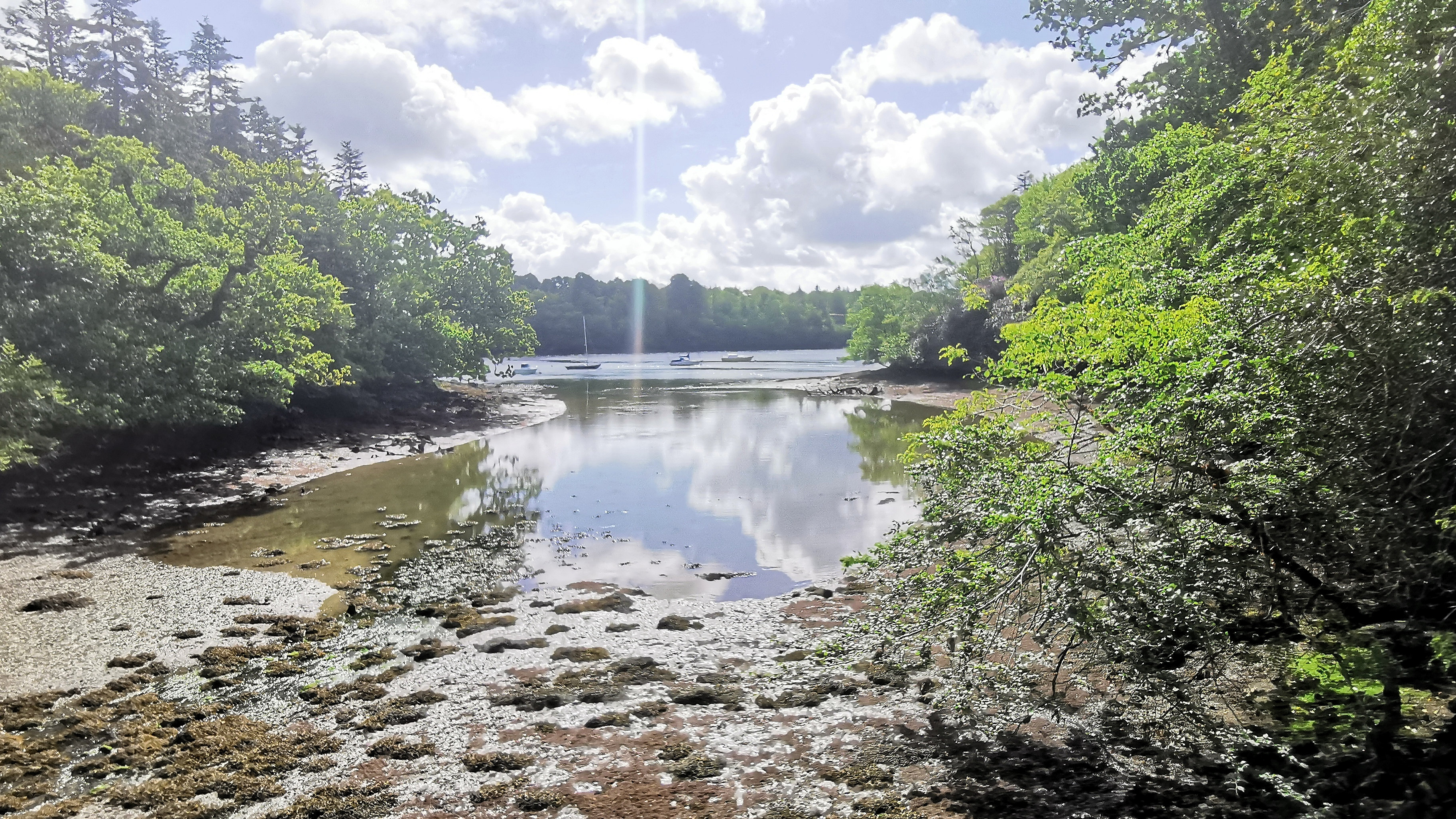 20-IMG_20210522_105009