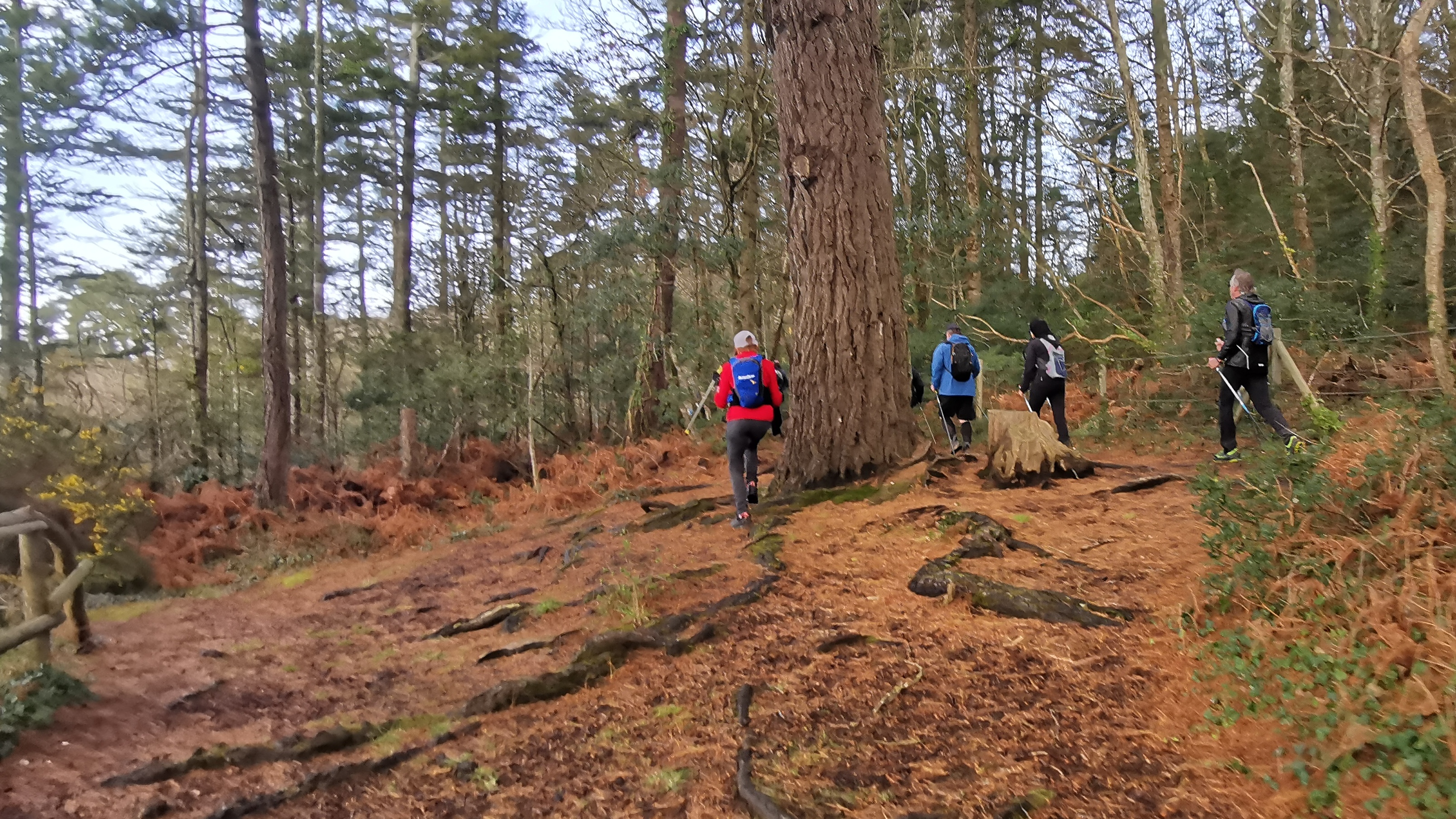 34-IMG_20210311_105249_1