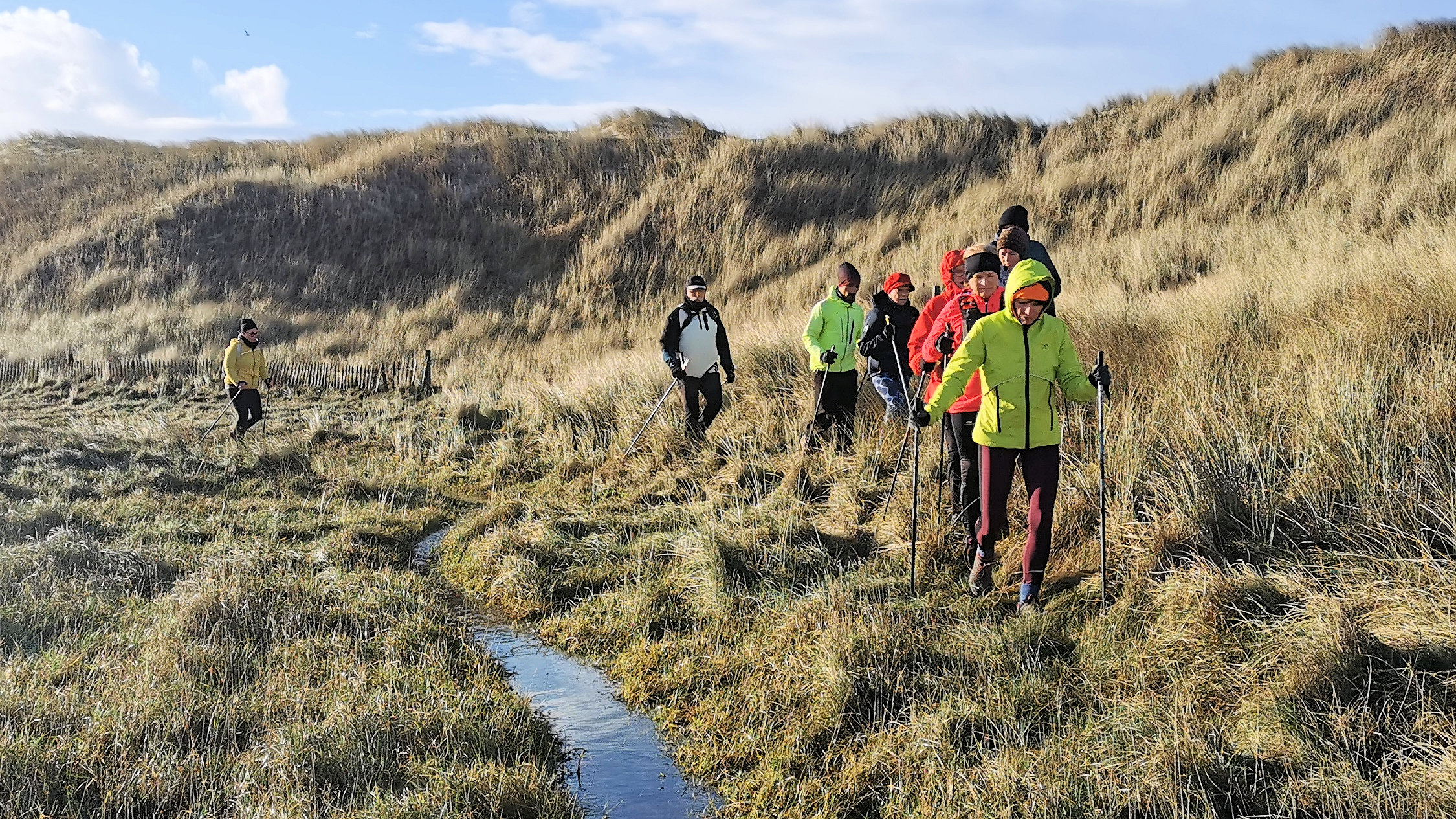 34-IMG_20210124_104301_1