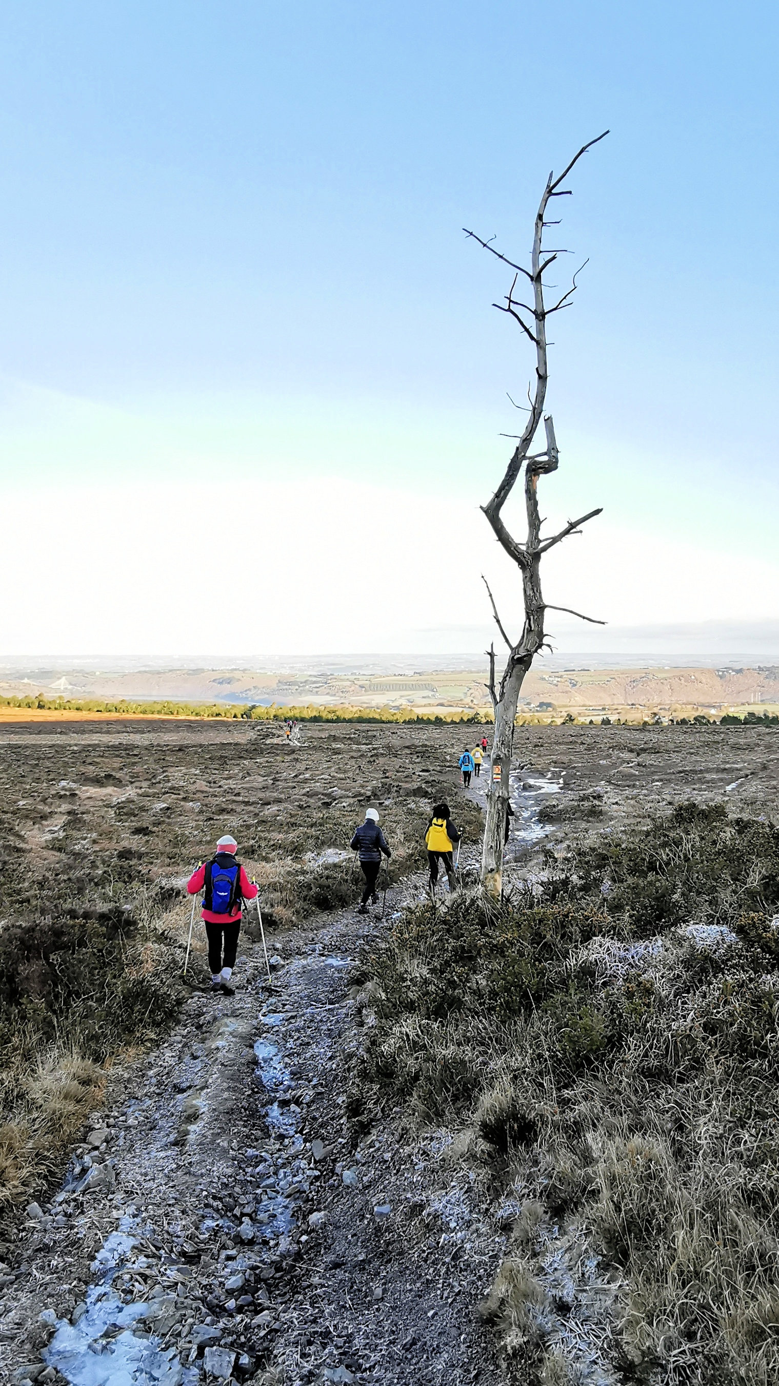 039-IMG_20210110_102354