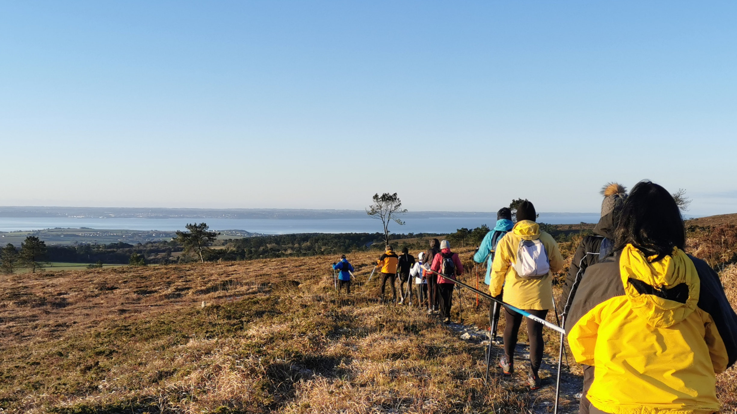 018-IMG_20210110_095552