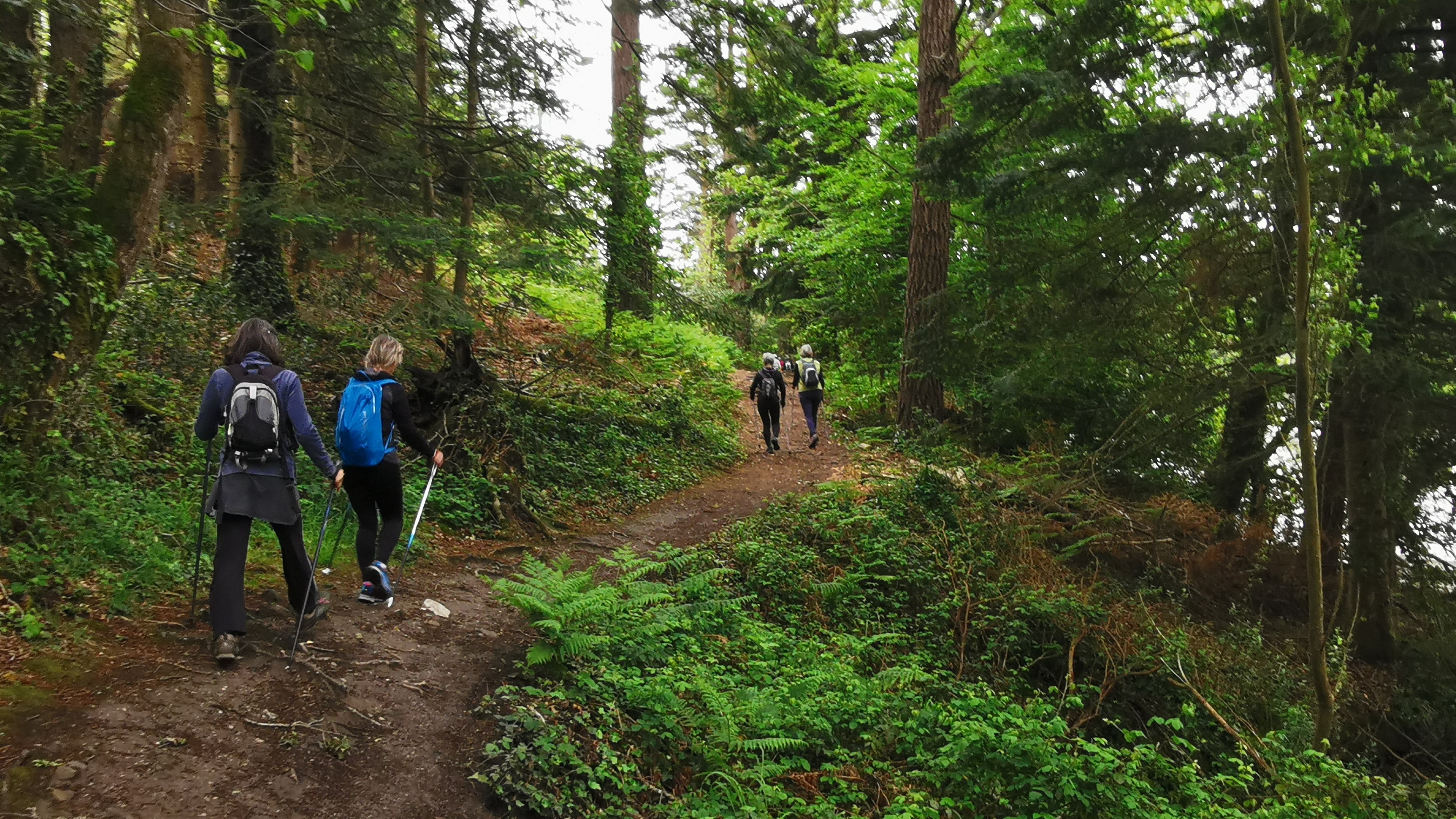 06-IMG_20210527_095221_1