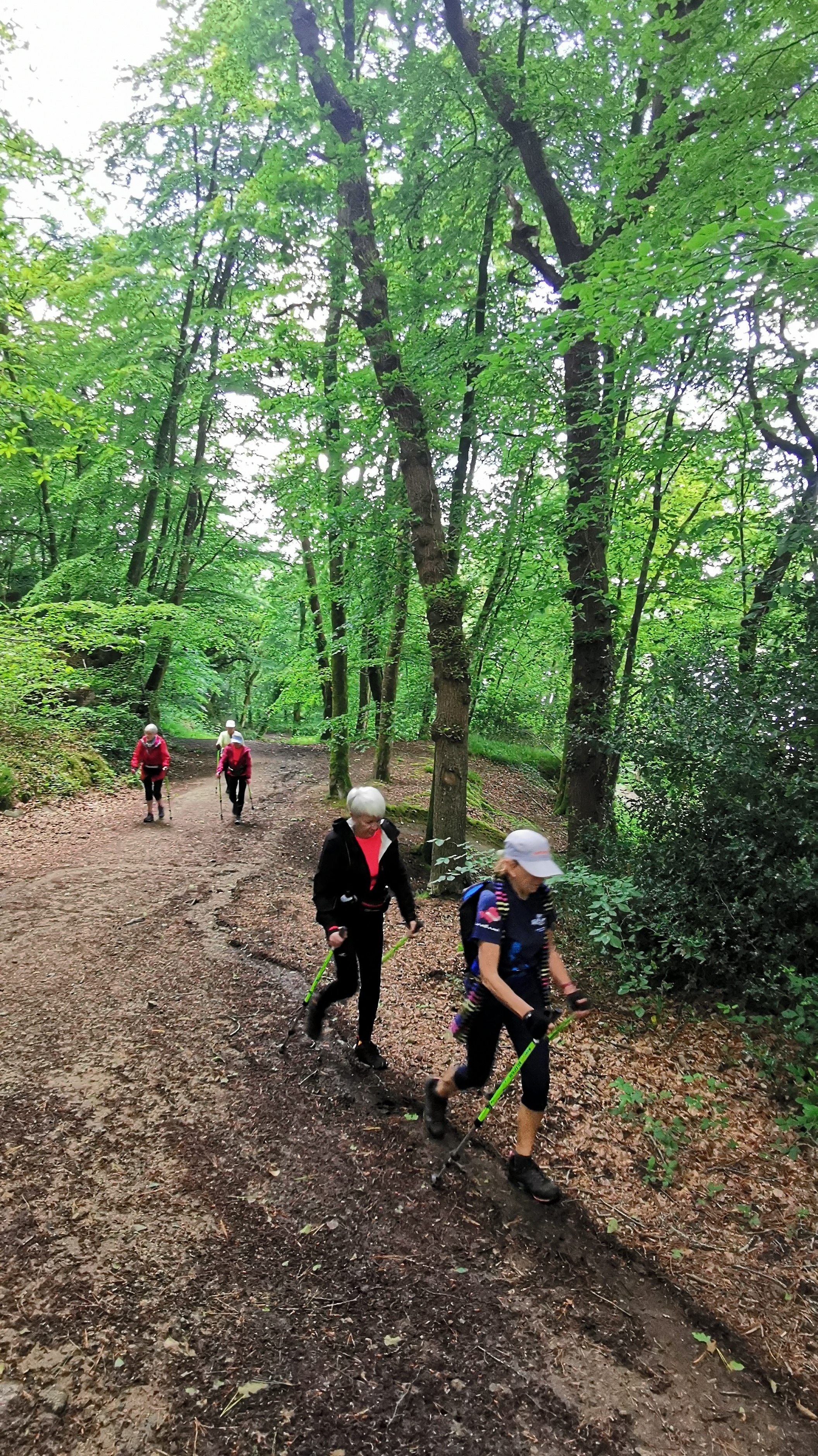 36-IMG_20210525_105216_1