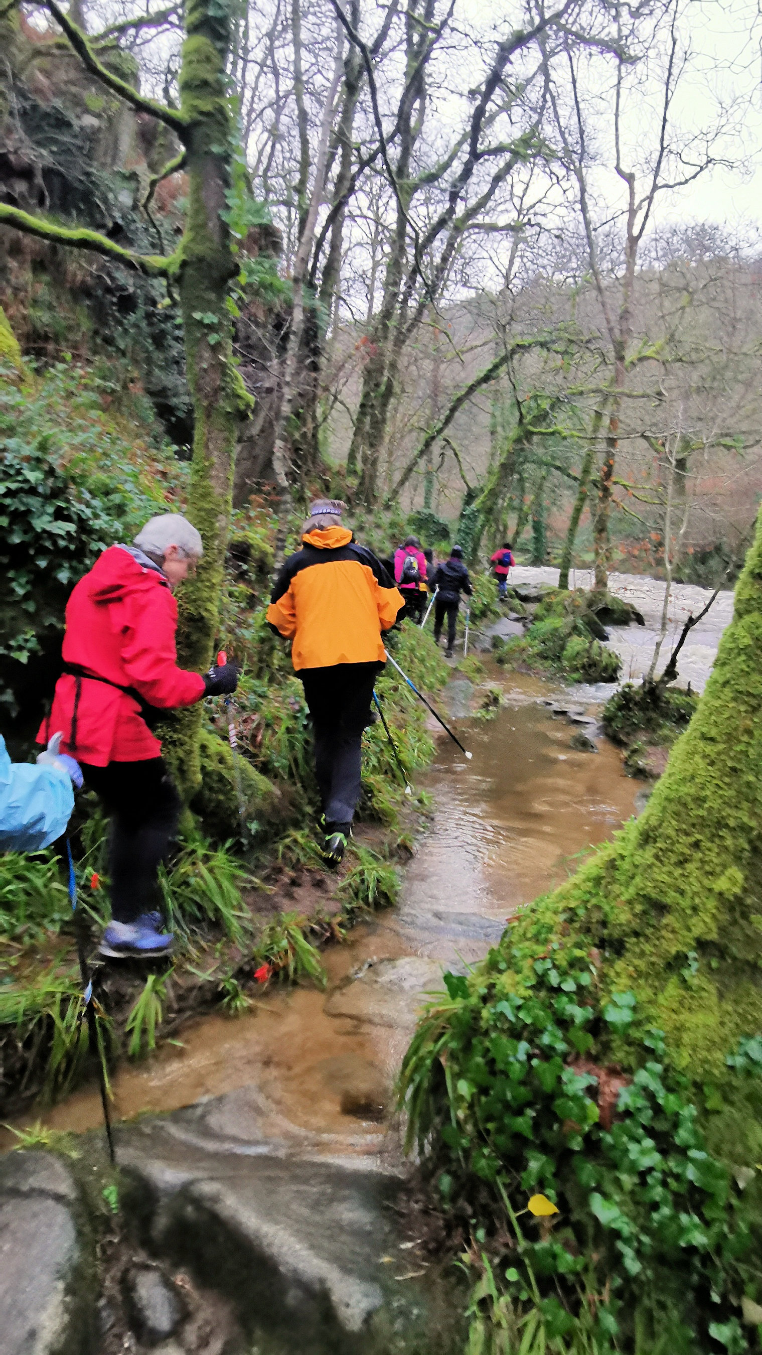 12-IMG_20210121_100526