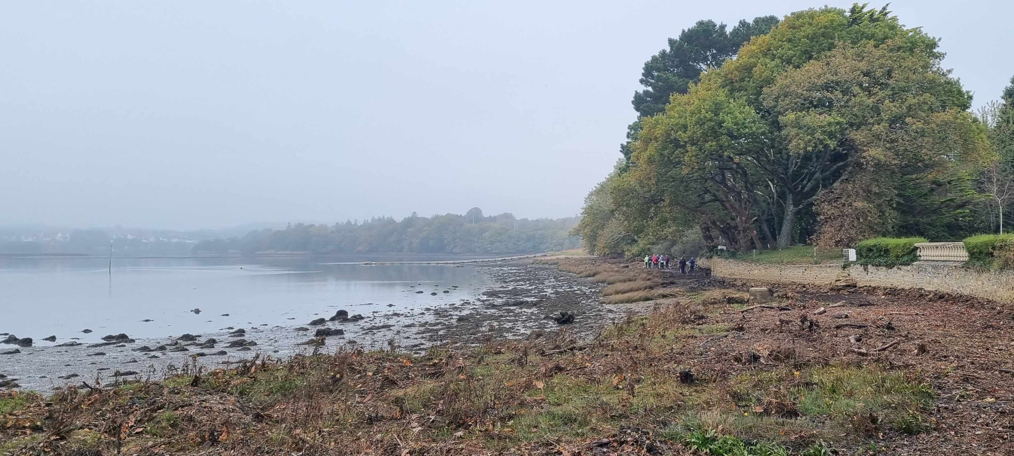 22-20211108_103658(0)