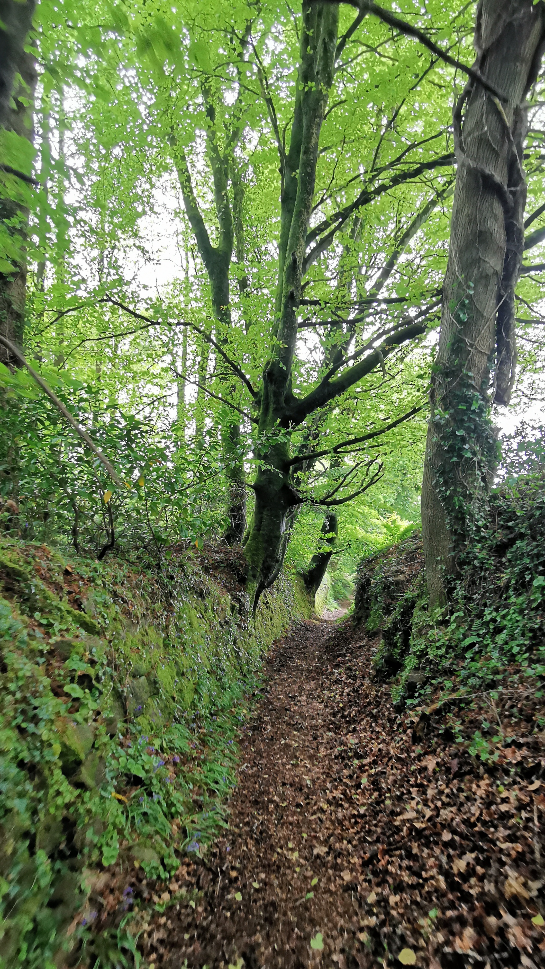 74-IMG_20210508_114009