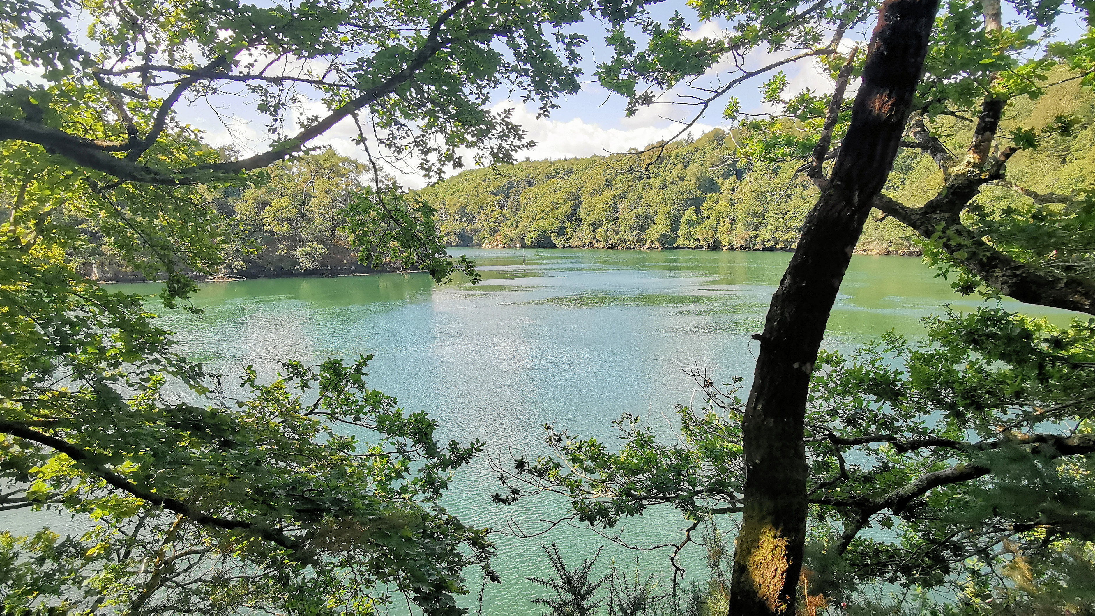 026-IMG_20210816_113114