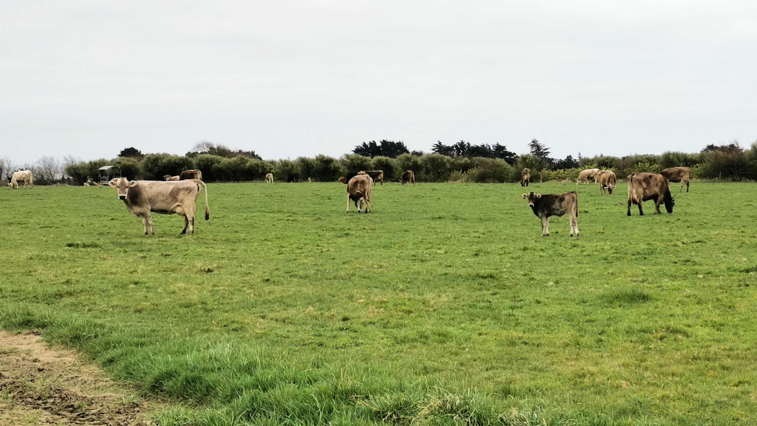 57-IMG_20210321_111508