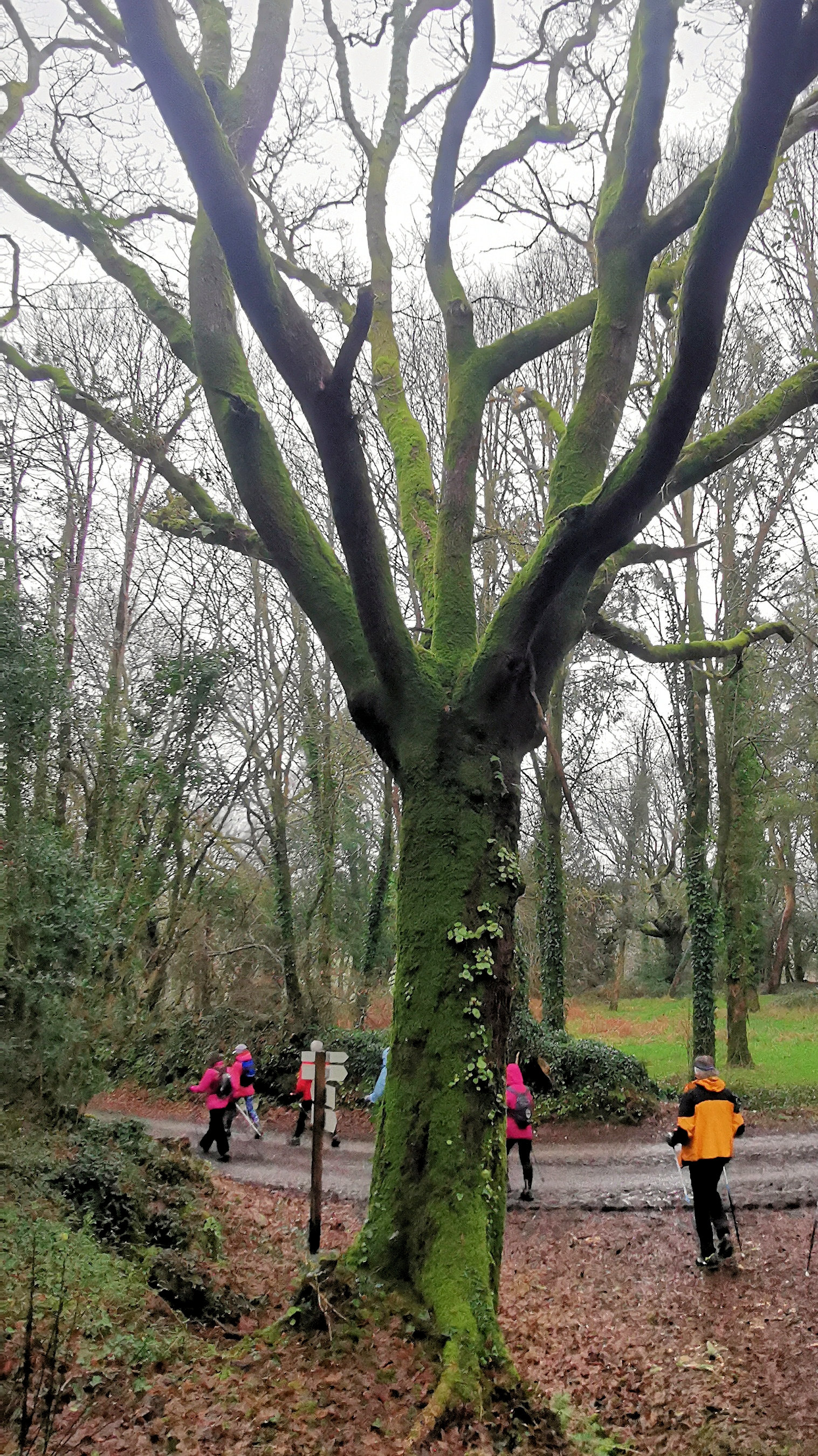 31-IMG_20210121_103316