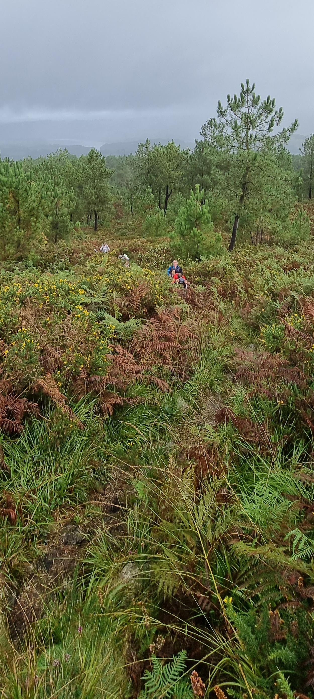 074-20210919_111151