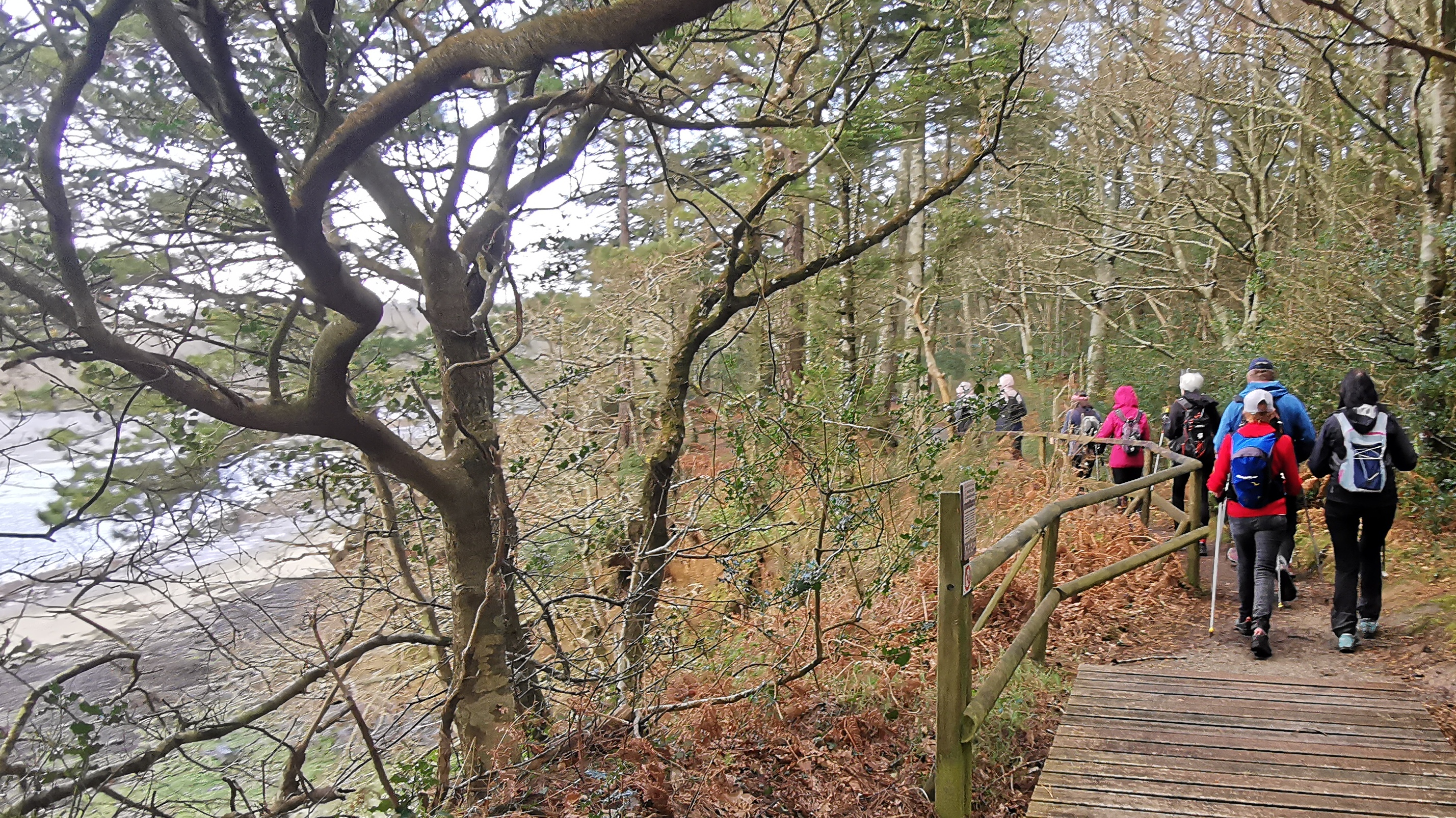 32-IMG_20210311_105226