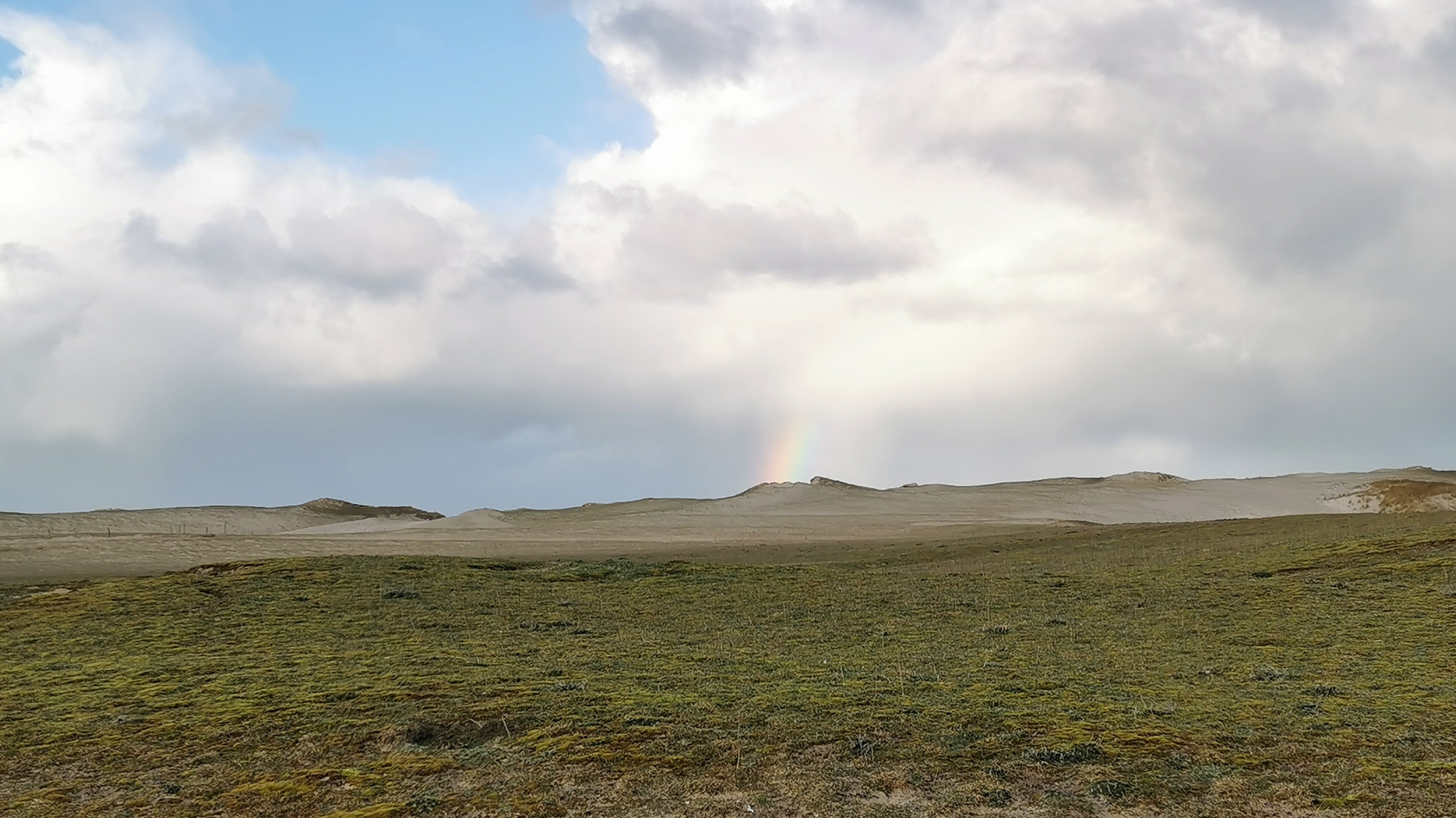 11-IMG_20210124_095841