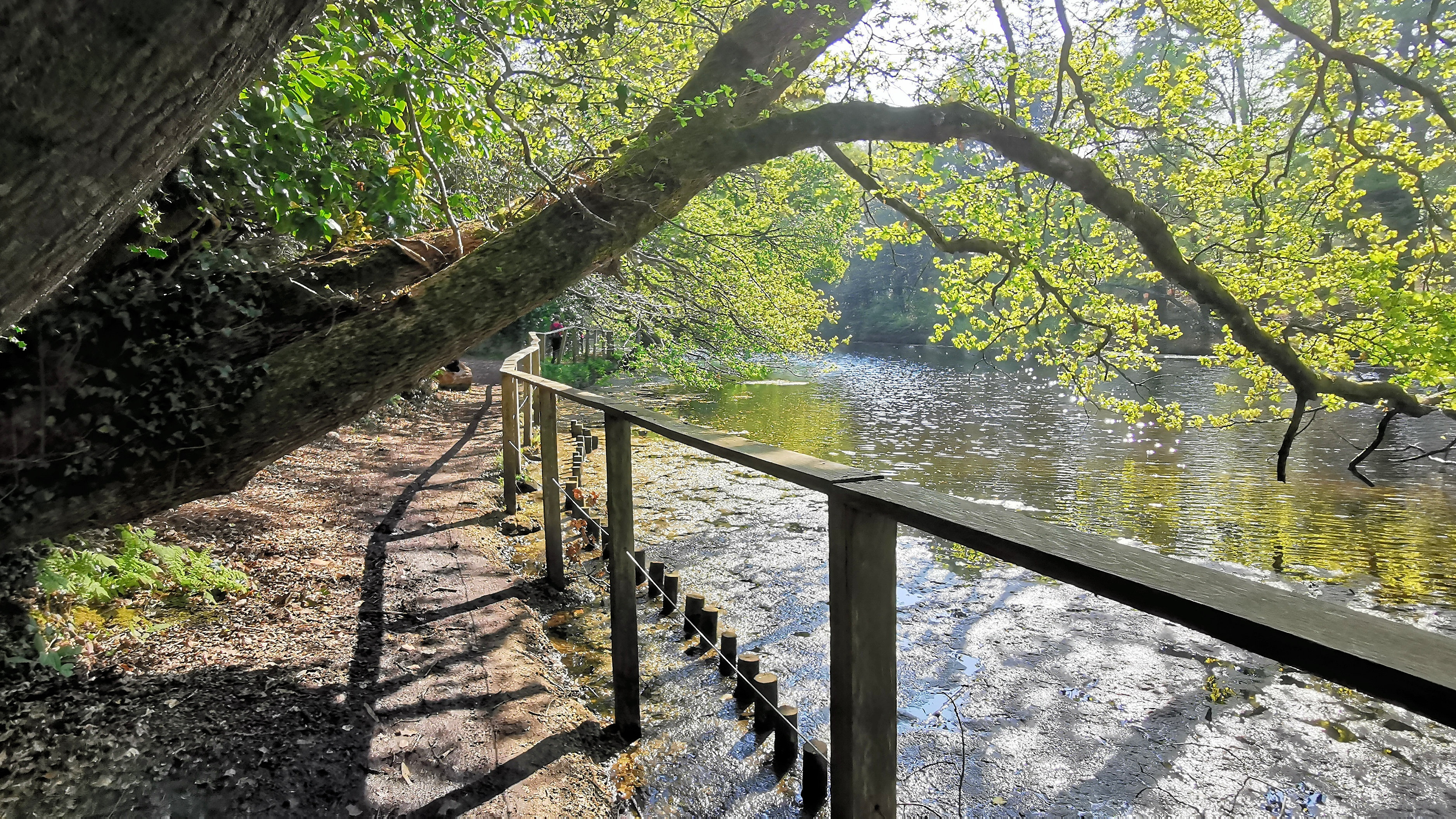 39-IMG_20210422_110645_1