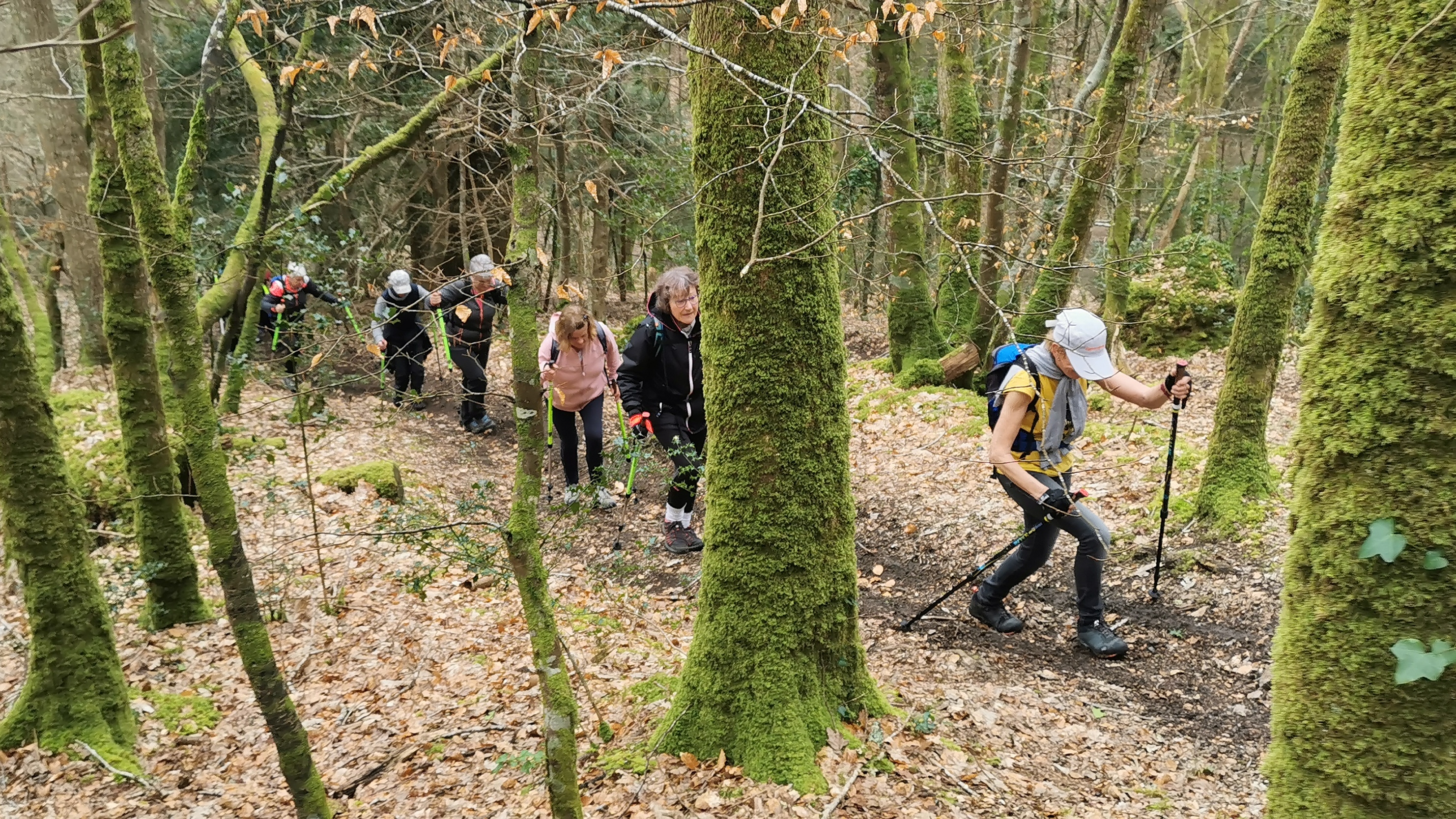 28-IMG_20210316_104250