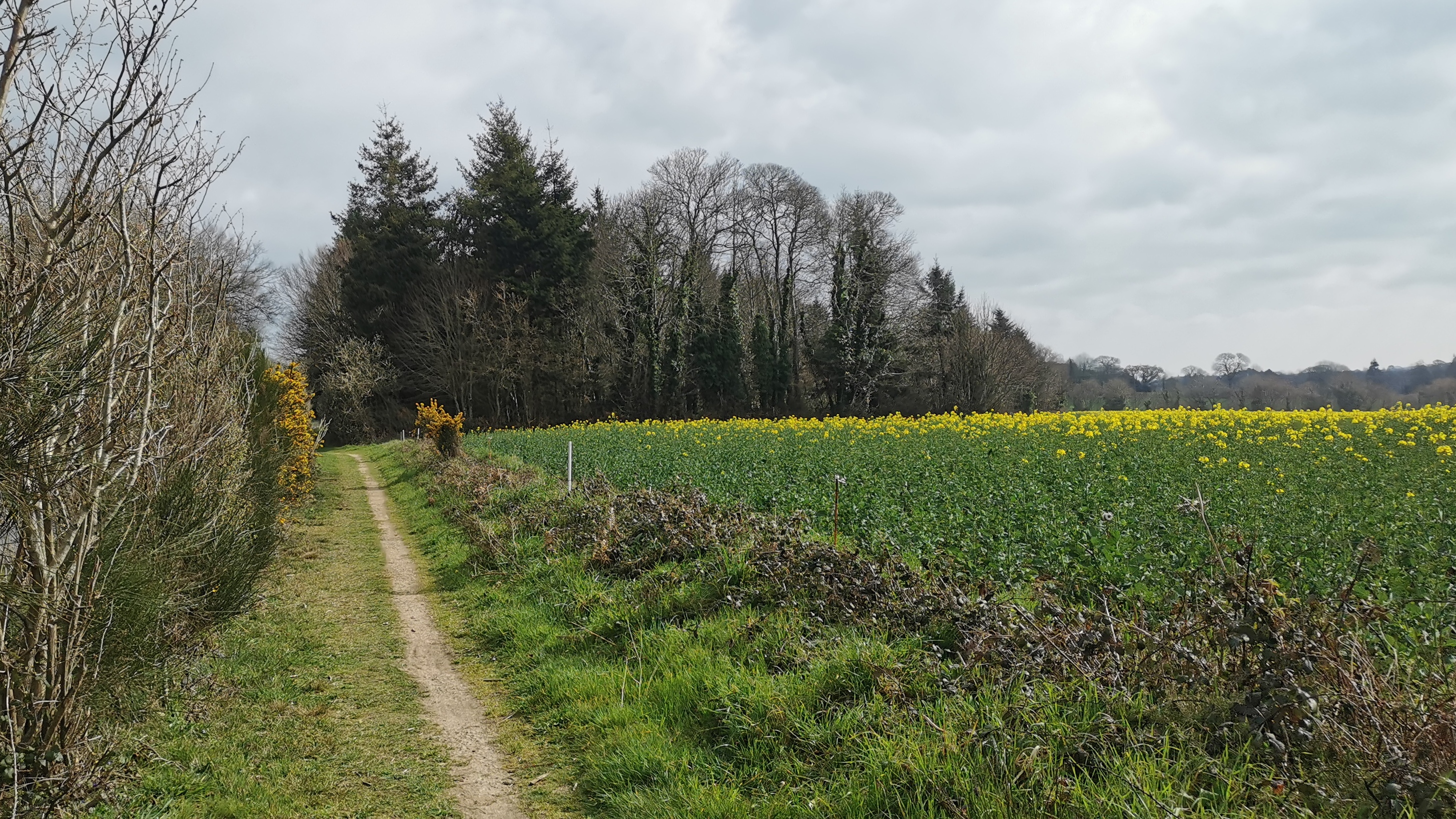 12-IMG_20210323_105558