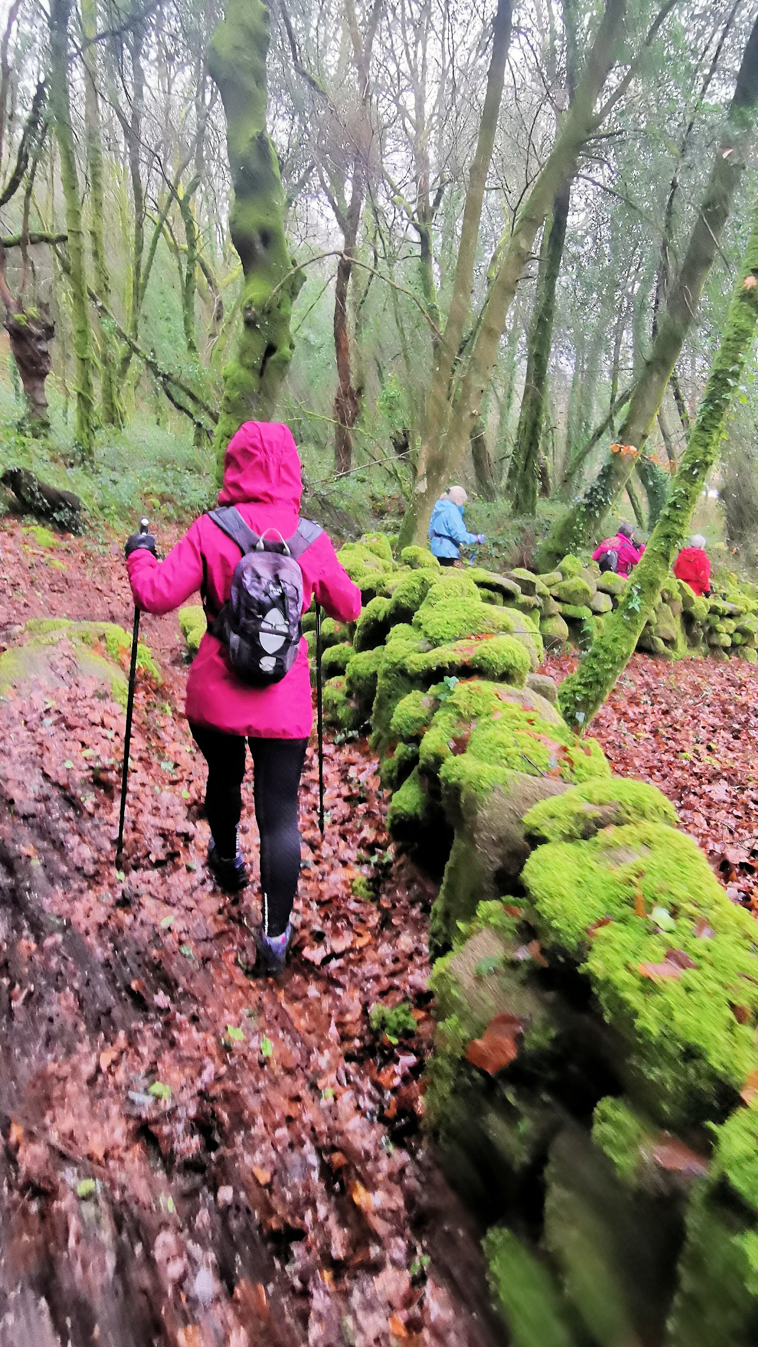 42-IMG_20210121_104128_1