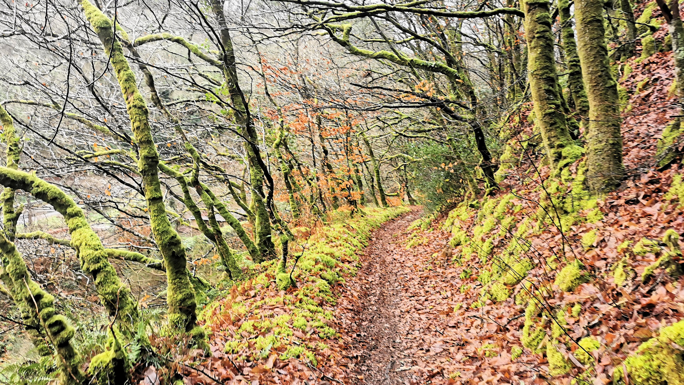 10-IMG_20210119_105734