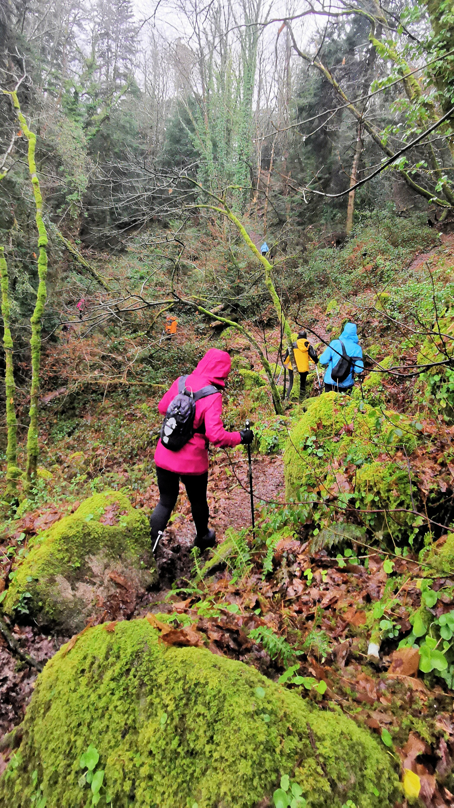 64-IMG_20210121_113233