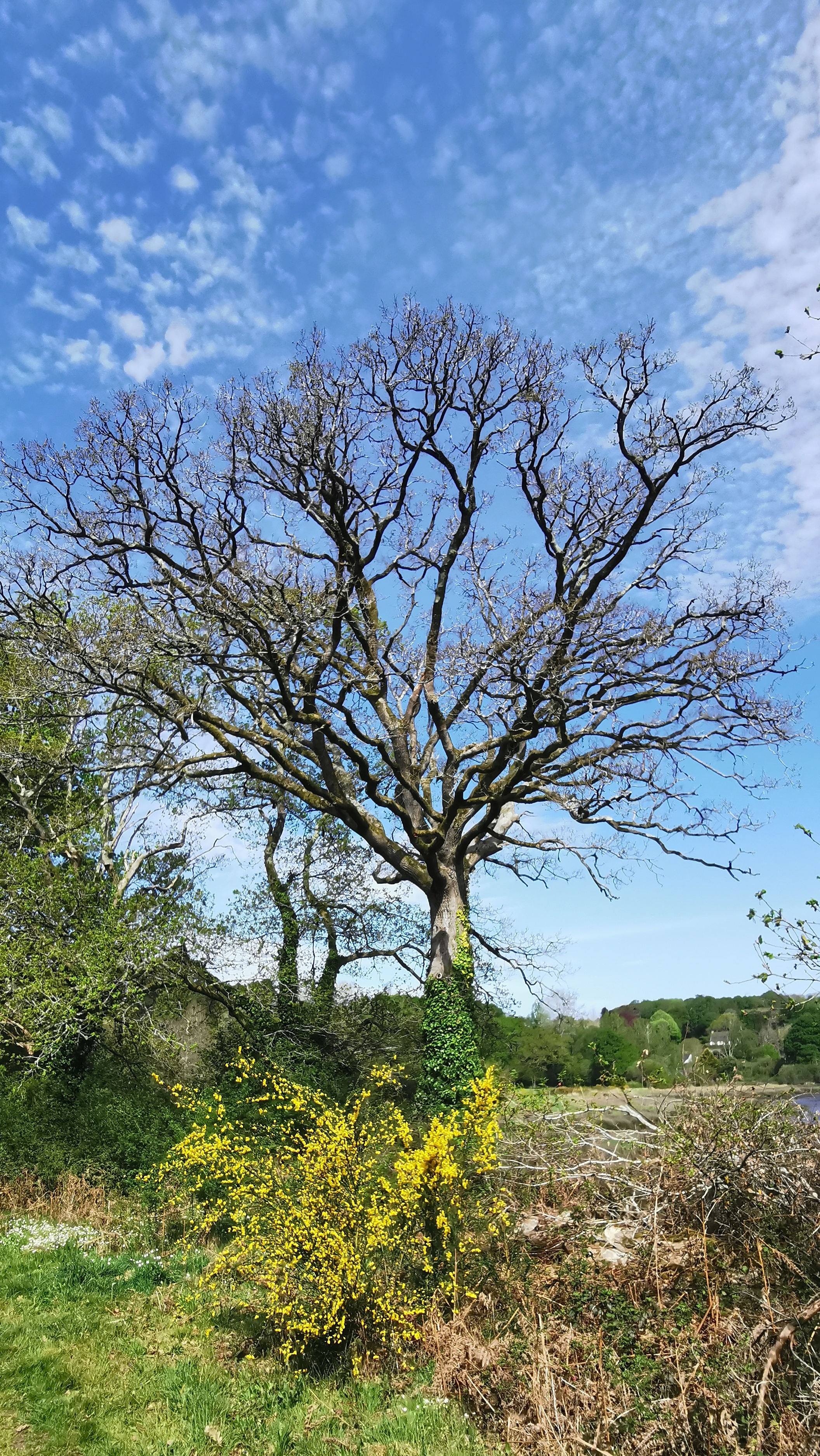 83-IMG_20210425_112133_1